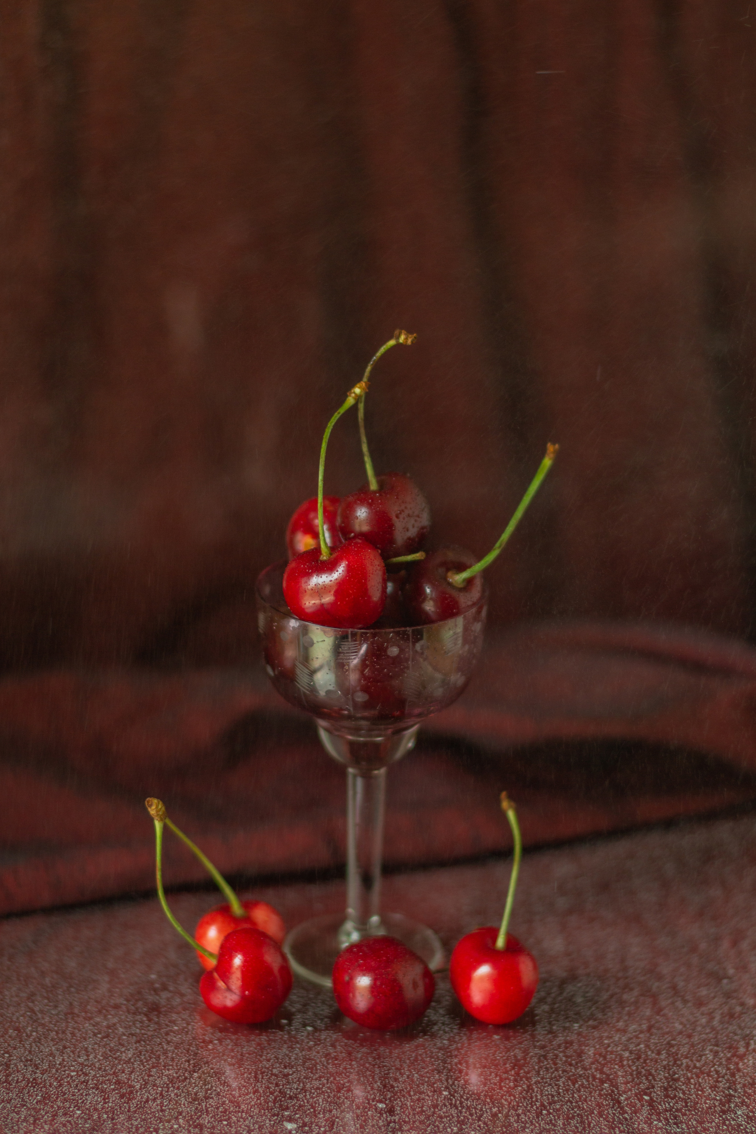 Черешня (МАКРО). Фотограф в Симферополе и Крыму — Мария СветоЯра Дмитриева | Индивидуальные и семейные съёмки