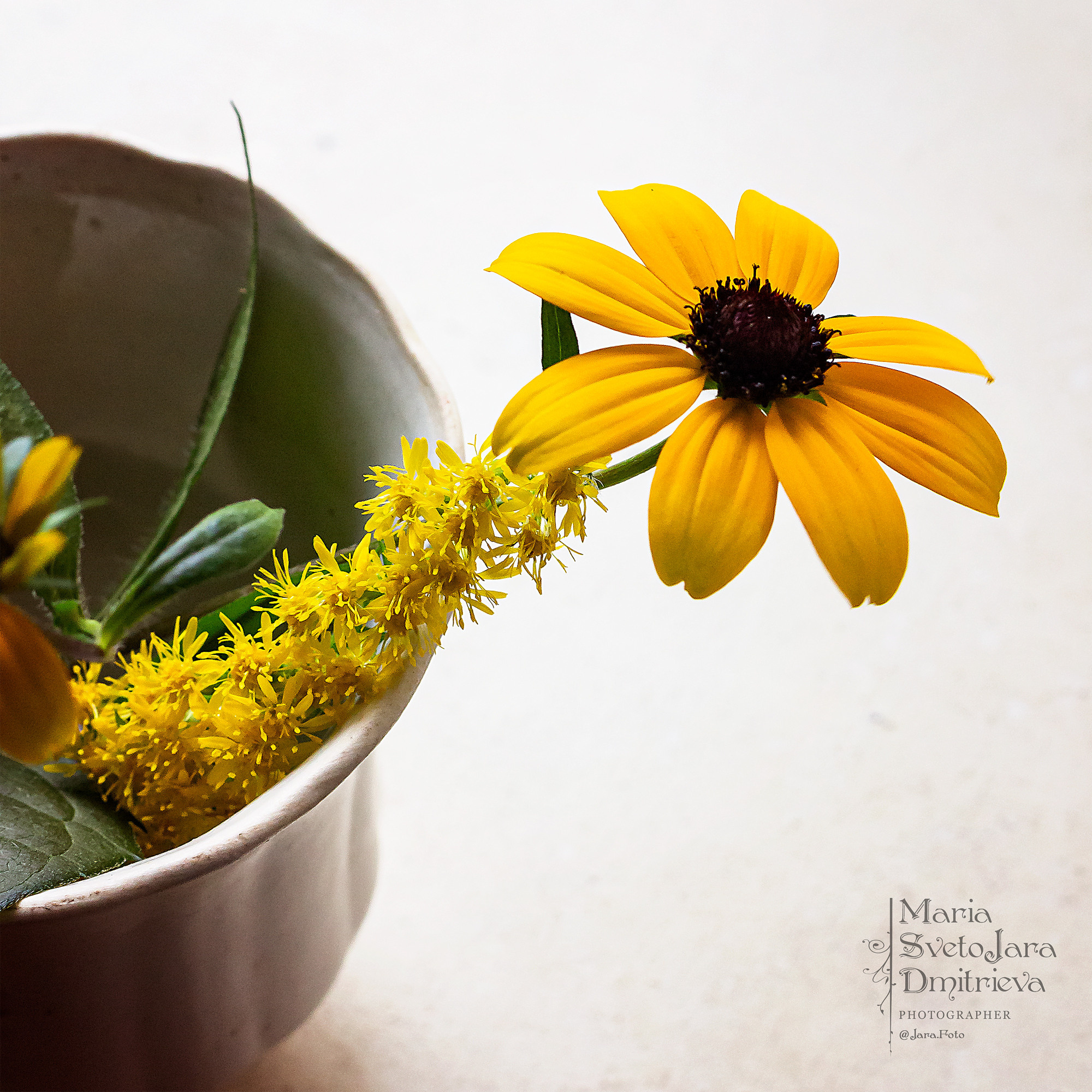 Макро. Фотограф в Симферополе и Крыму — Мария СветоЯра Дмитриева | Индивидуальные и семейные съёмки