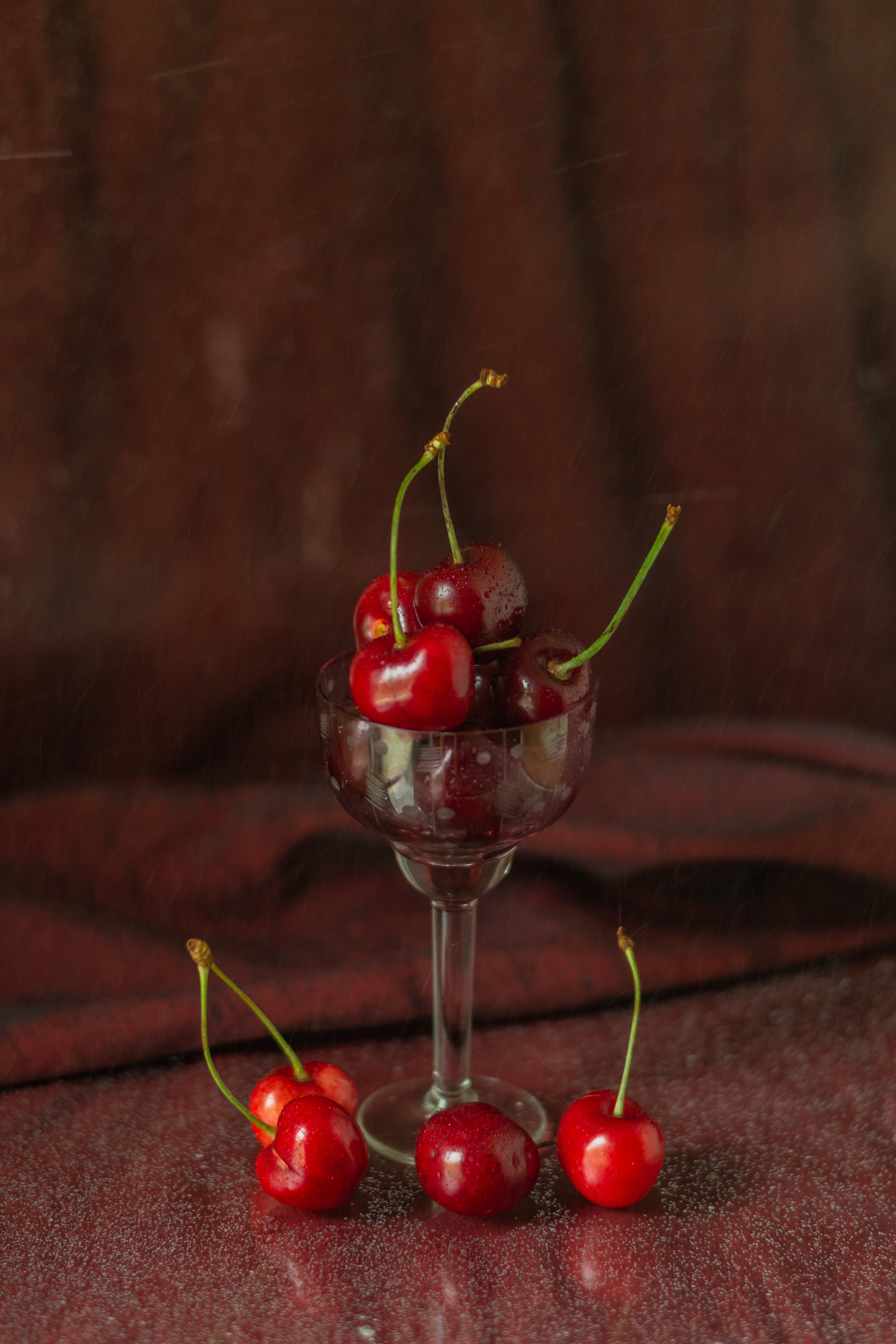 Черешня (МАКРО). Фотограф в Симферополе и Крыму — Мария СветоЯра Дмитриева | Индивидуальные и семейные съёмки