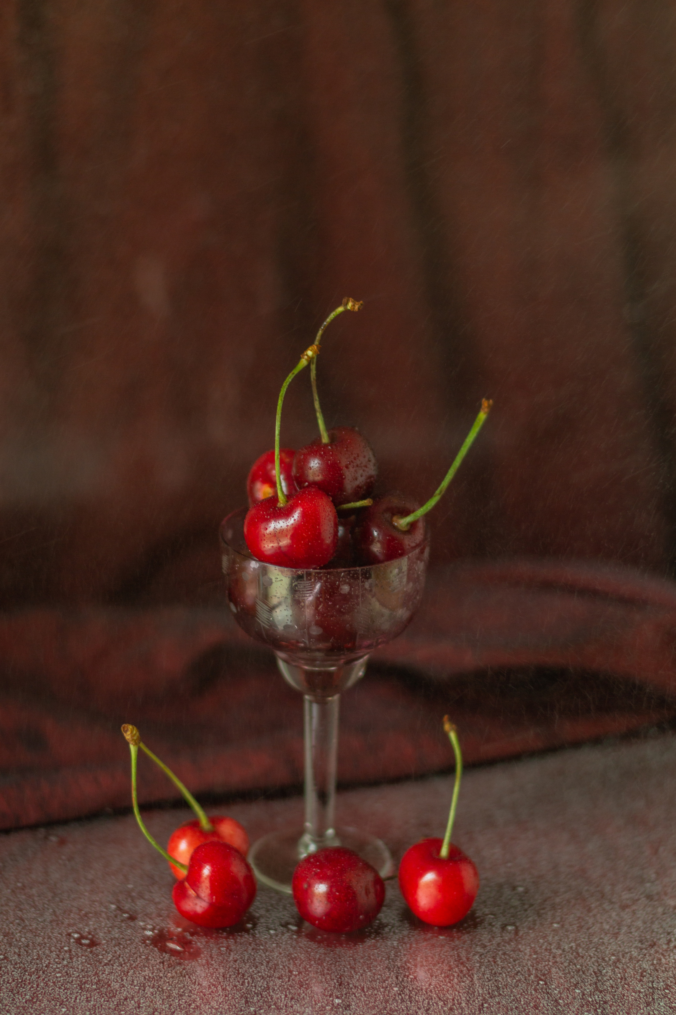 Черешня (МАКРО). Фотограф в Симферополе и Крыму — Мария СветоЯра Дмитриева | Индивидуальные и семейные съёмки