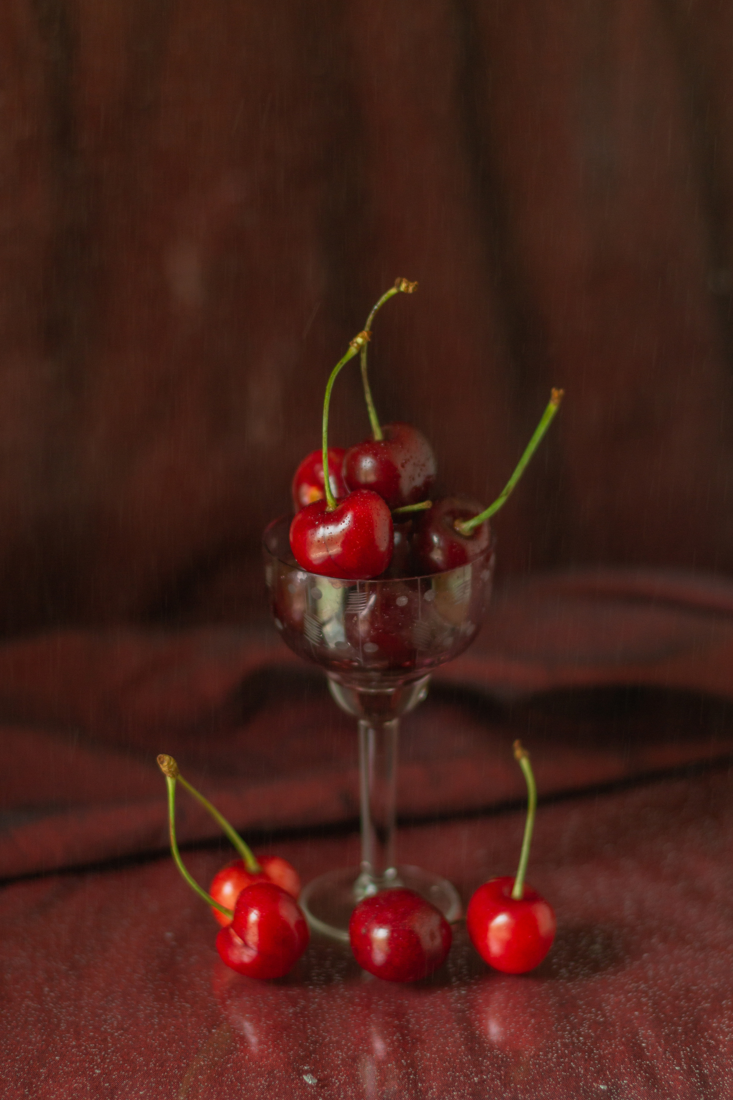 Черешня (МАКРО). Фотограф в Симферополе и Крыму — Мария СветоЯра Дмитриева | Индивидуальные и семейные съёмки