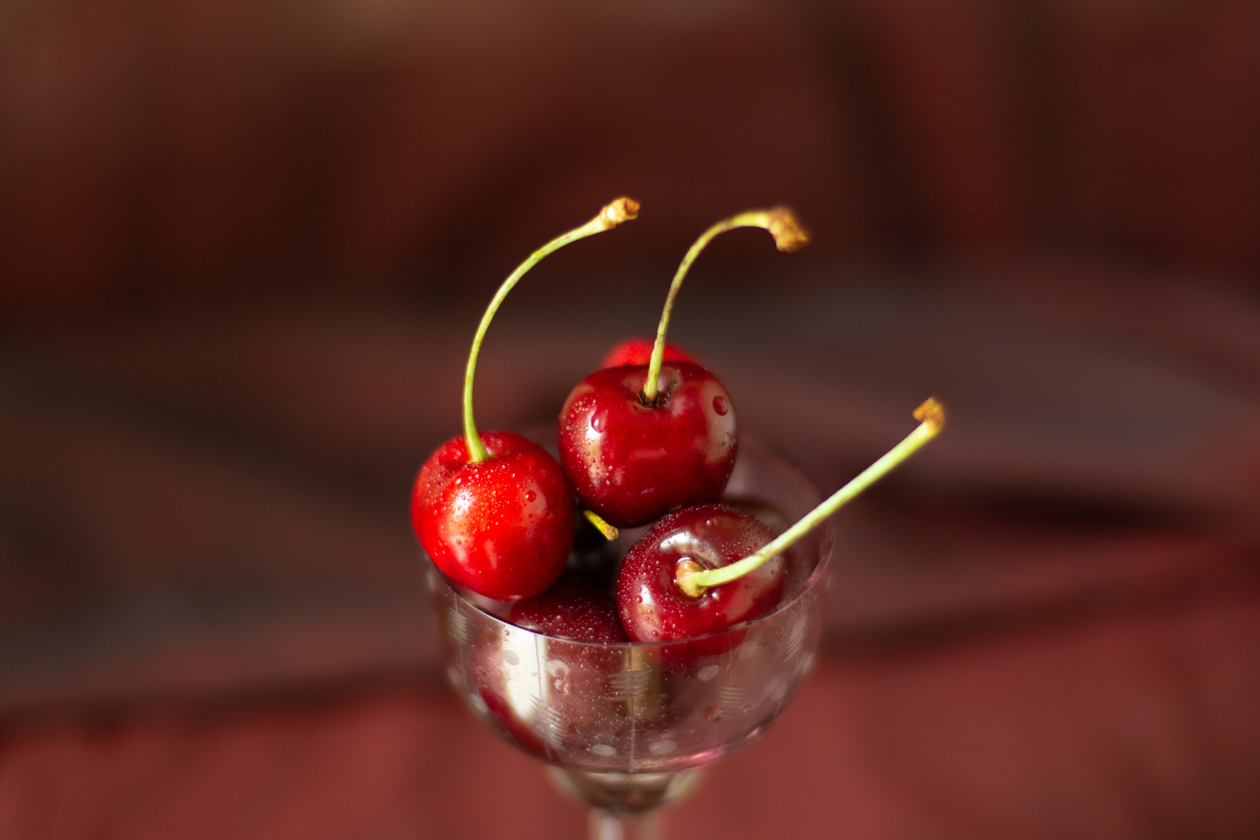 Черешня (МАКРО). Фотограф в Симферополе и Крыму — Мария СветоЯра Дмитриева | Индивидуальные и семейные съёмки