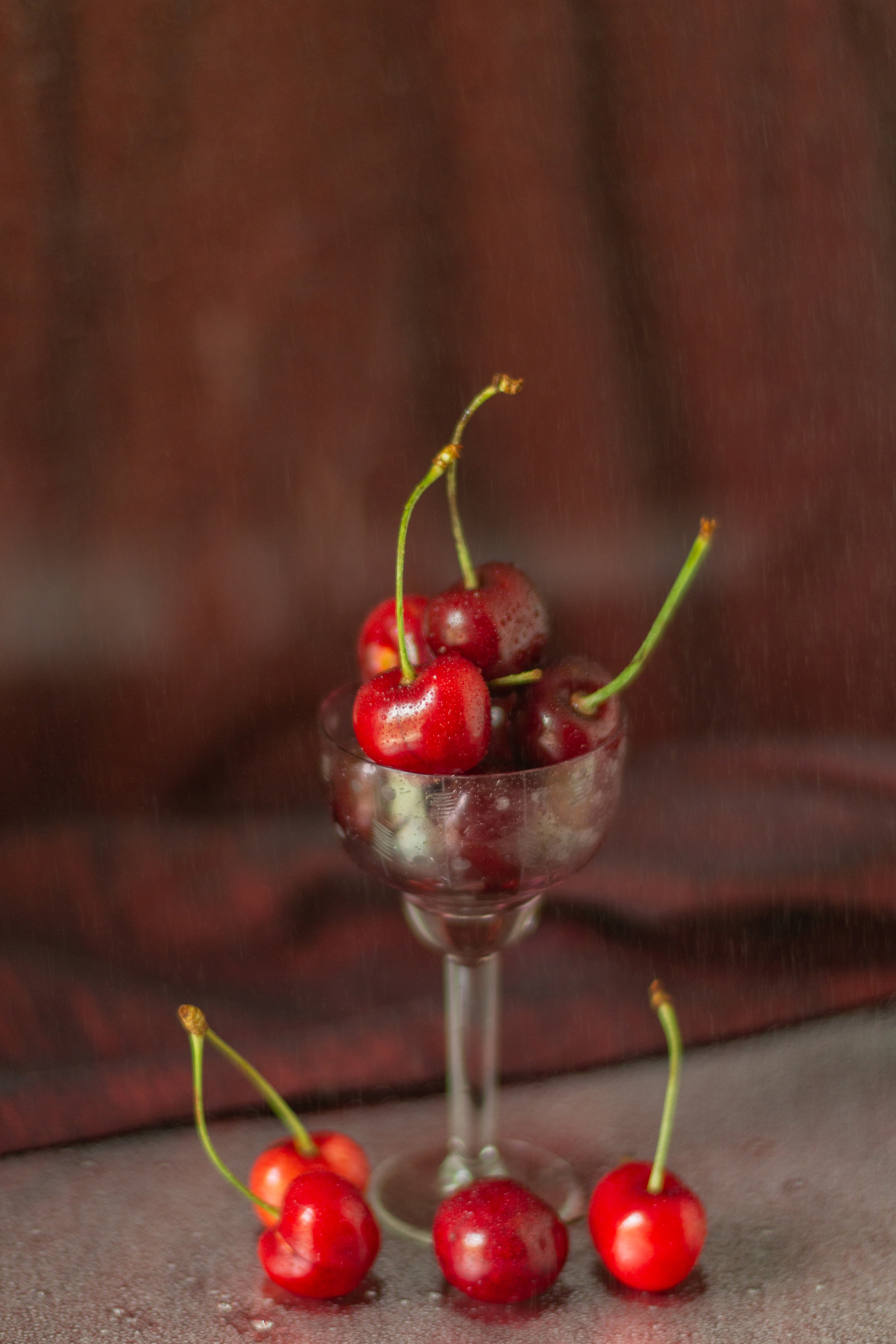 Черешня (МАКРО). Фотограф в Симферополе и Крыму — Мария СветоЯра Дмитриева | Индивидуальные и семейные съёмки