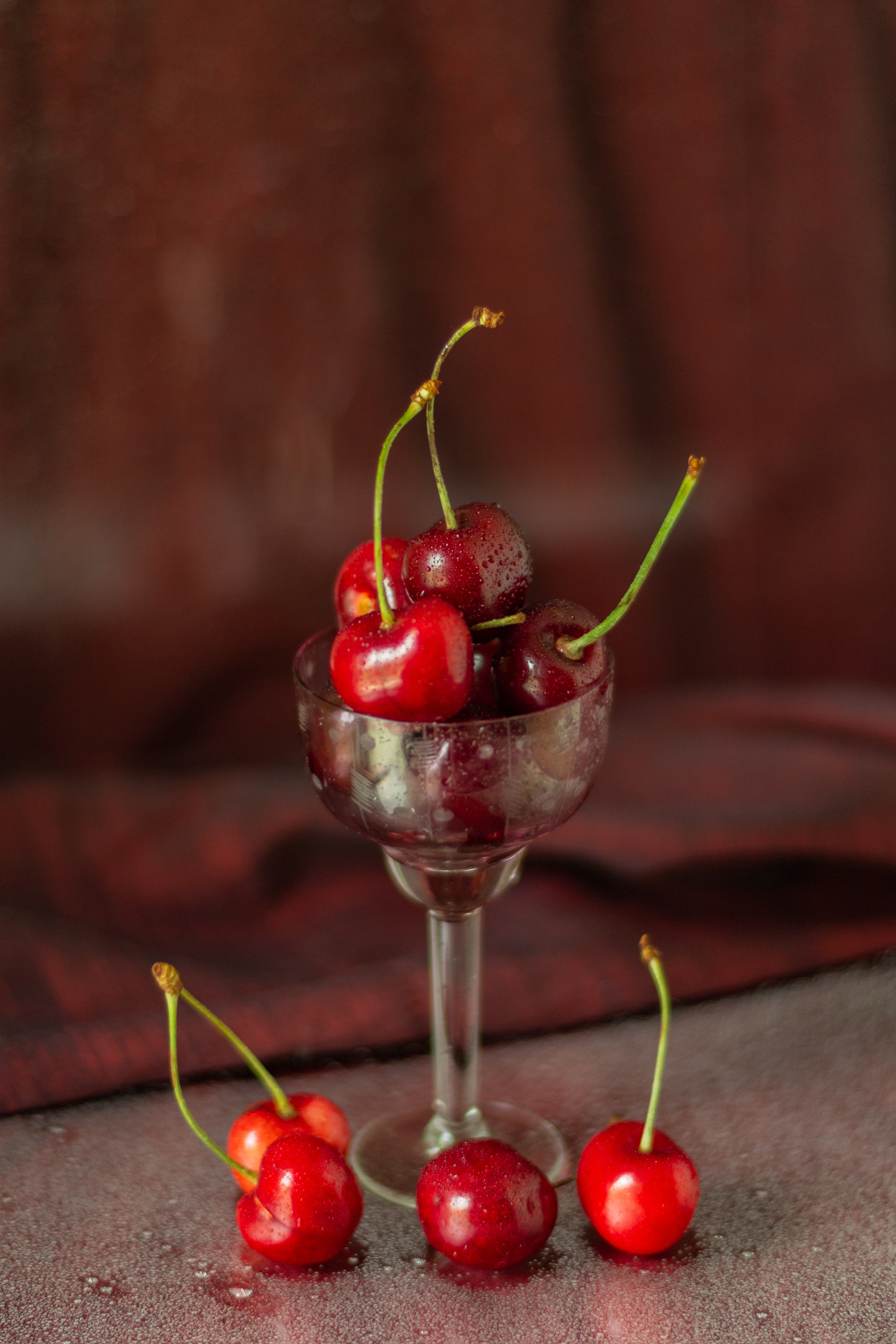 Черешня (МАКРО). Фотограф в Симферополе и Крыму — Мария СветоЯра Дмитриева | Индивидуальные и семейные съёмки