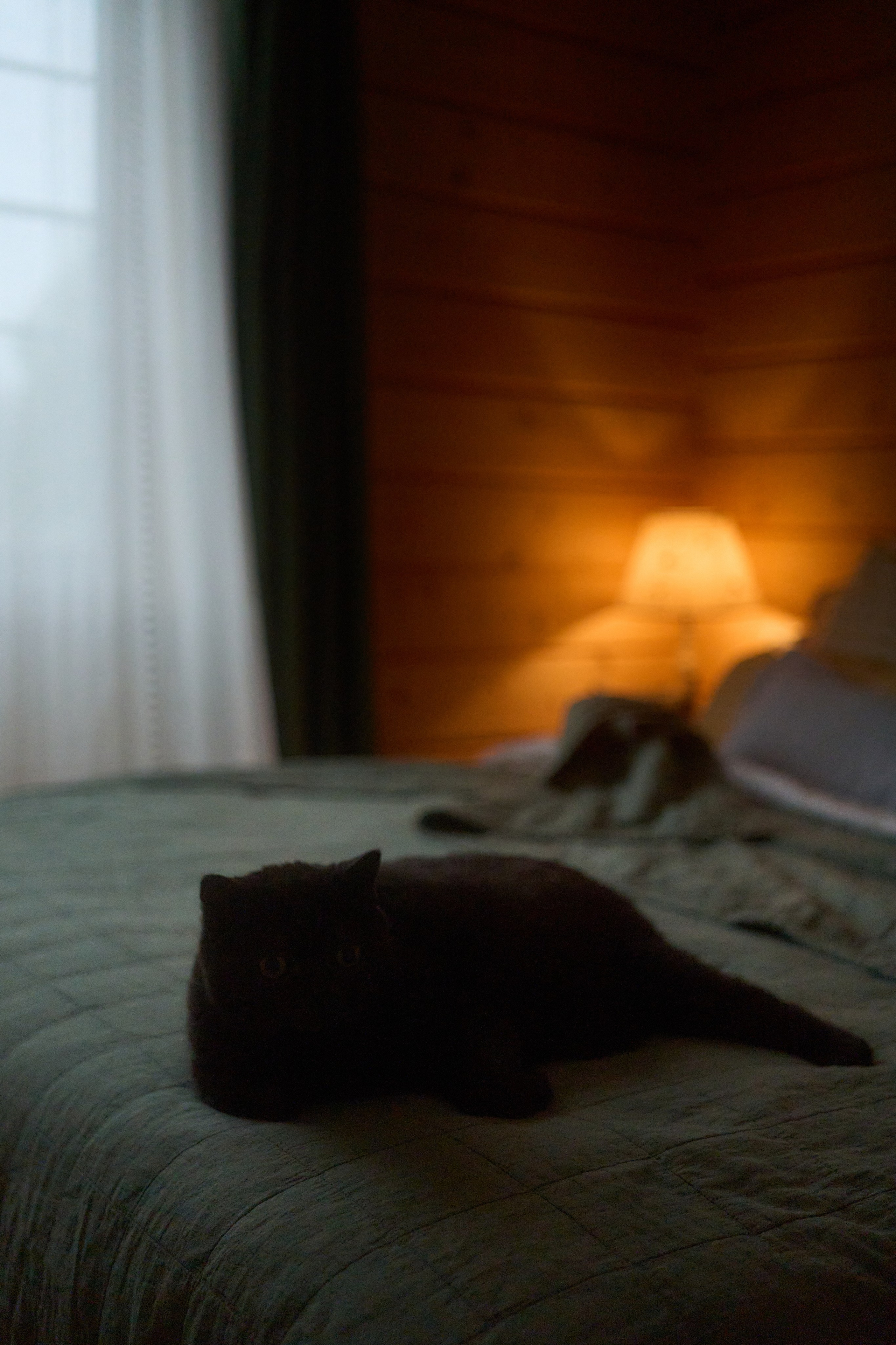 Осеннее. Фотограф Женя Пашкина