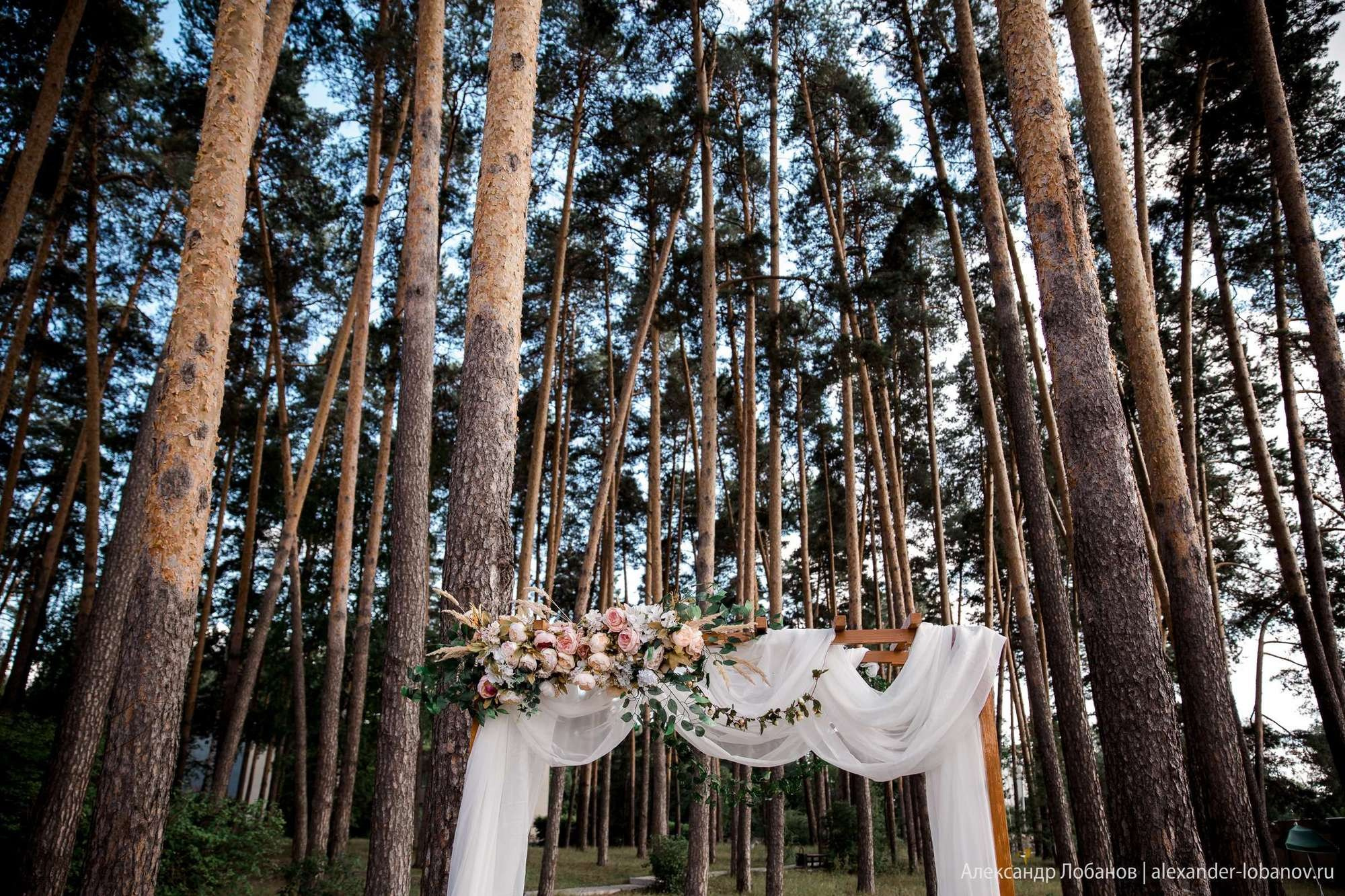 Свадьба Михаила и Анастасии