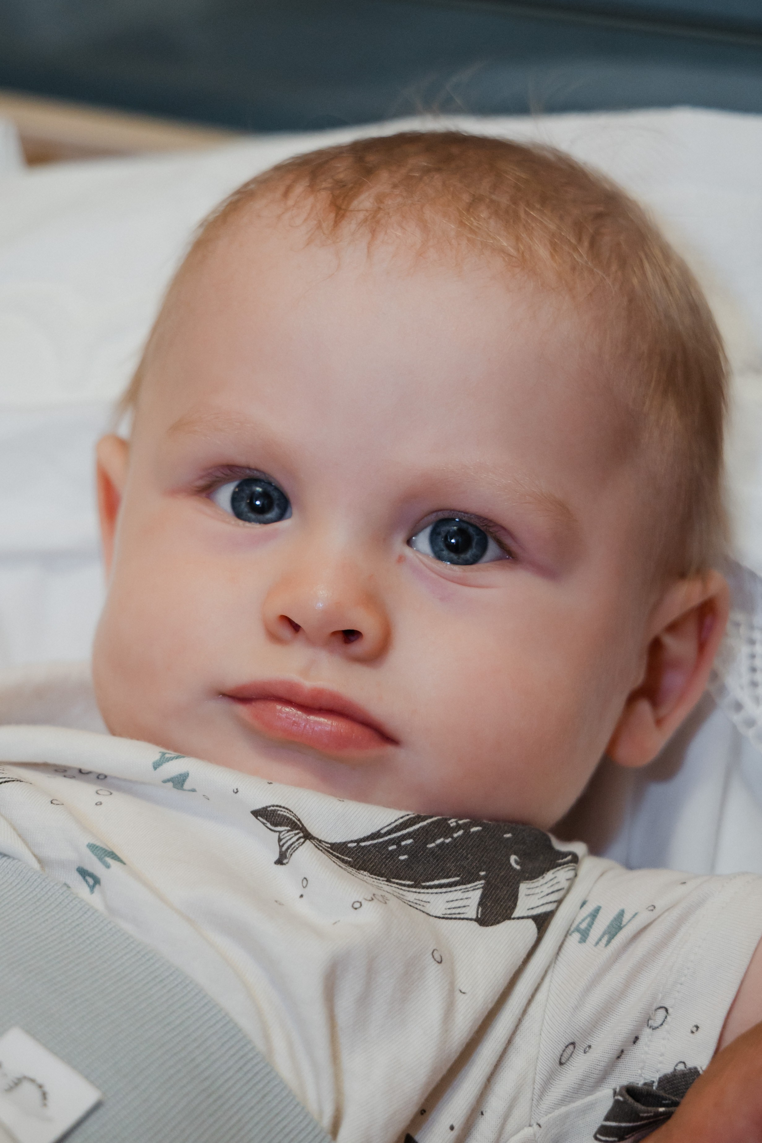 Крестины. Свадебный фотограф в городе Подольск МО и Москва Крылова Ирина