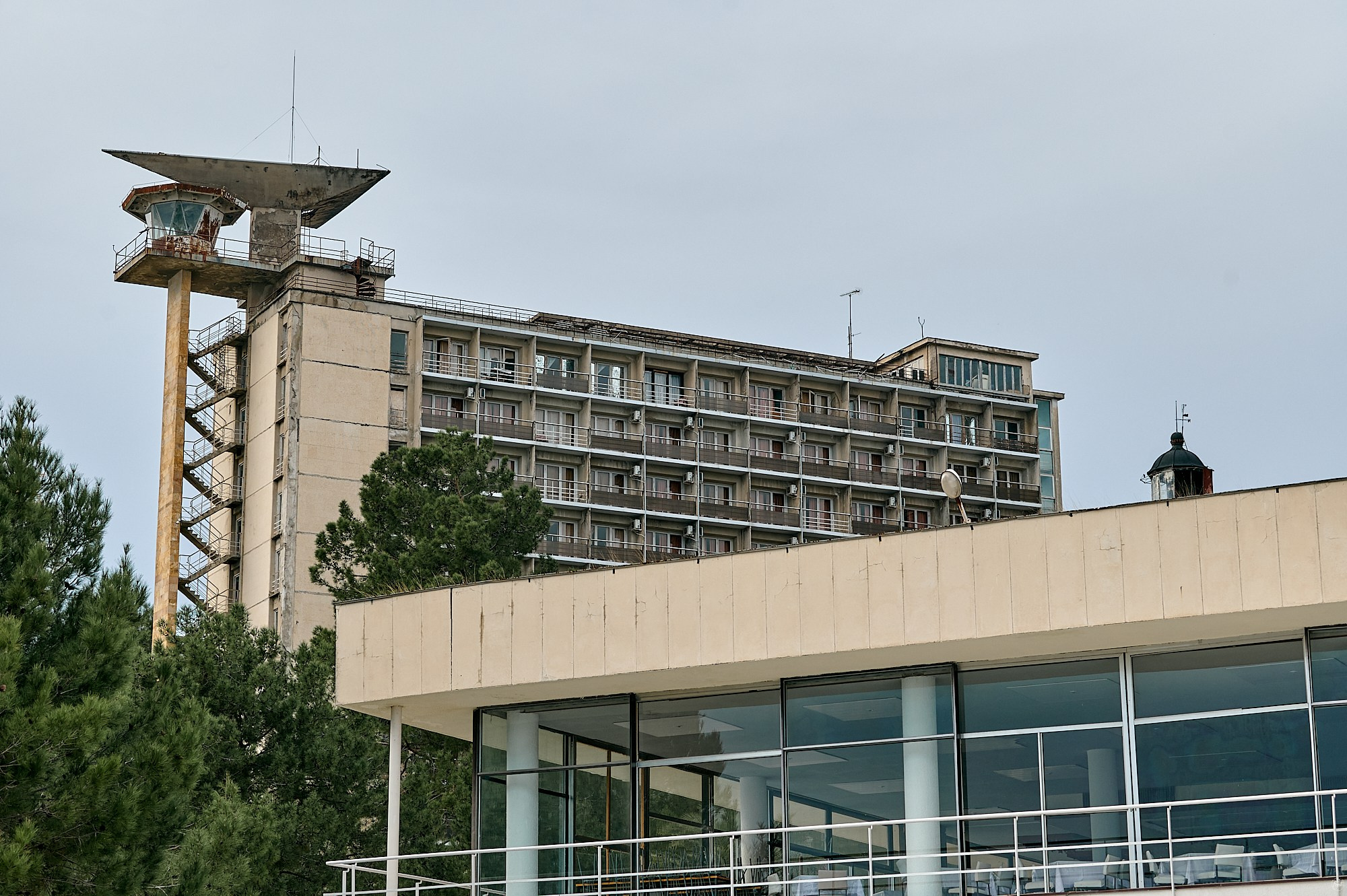 Пицунда, Абхазия. Декабрь 2024. Фотографии отовсюду и обо всем