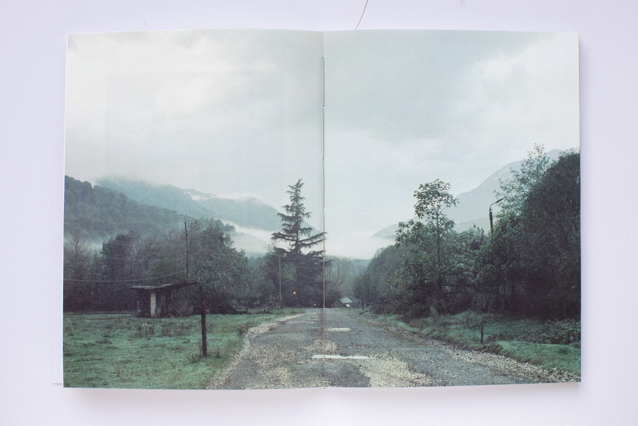 Зин «Про деревья, насекомых и людей». Natalya Madilyan