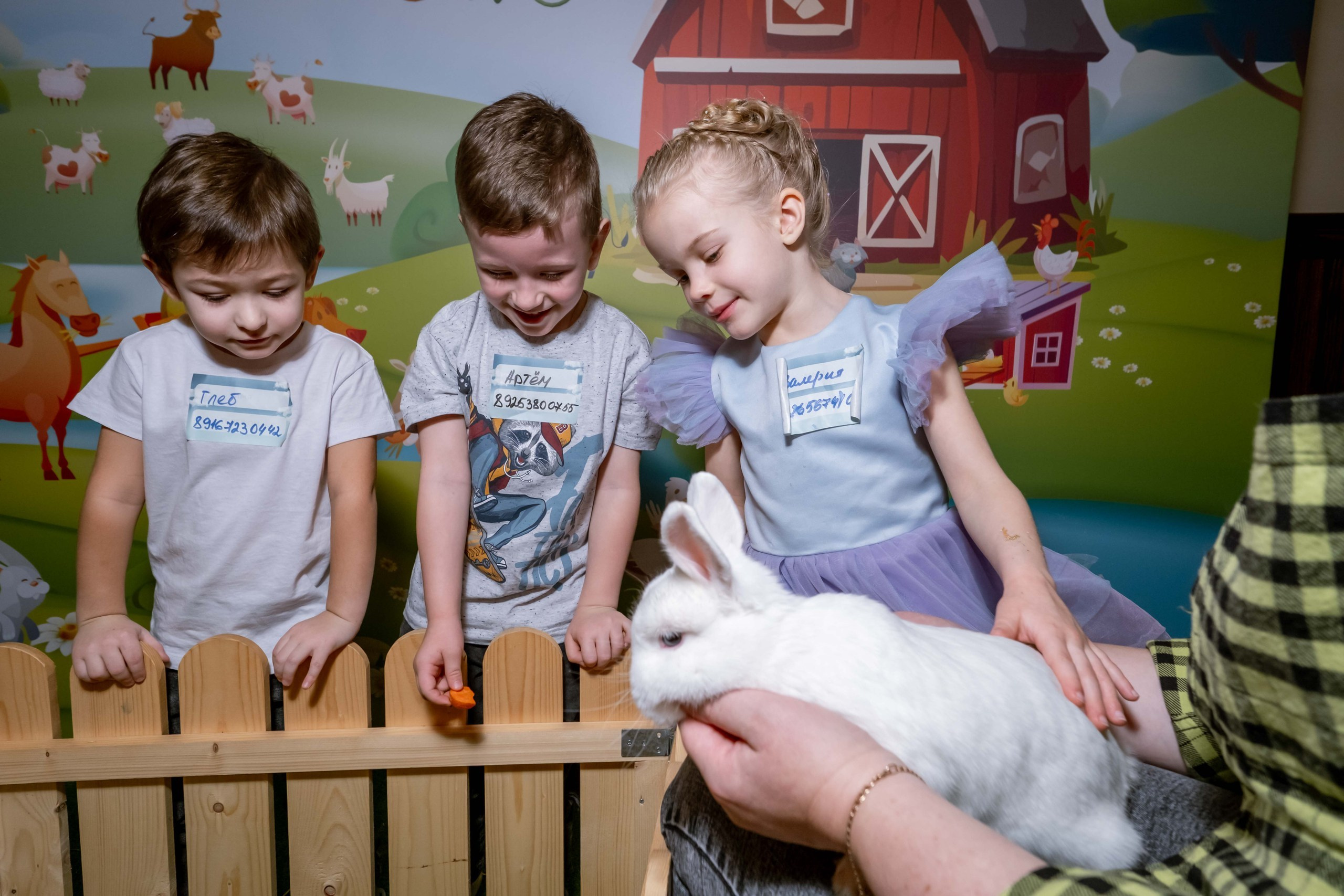 FAMILY DAY 750 чел. Территория M.I.C.E. Территория EVENT. Организация мероприятий