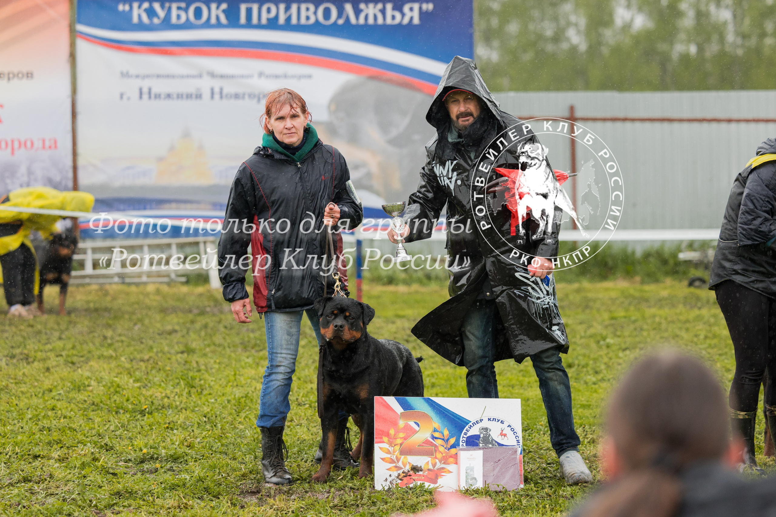 Нижний Новгород 2хмоно ротвейлеров 10-11.05.2025. Фотограф-анималист Юлия Германика