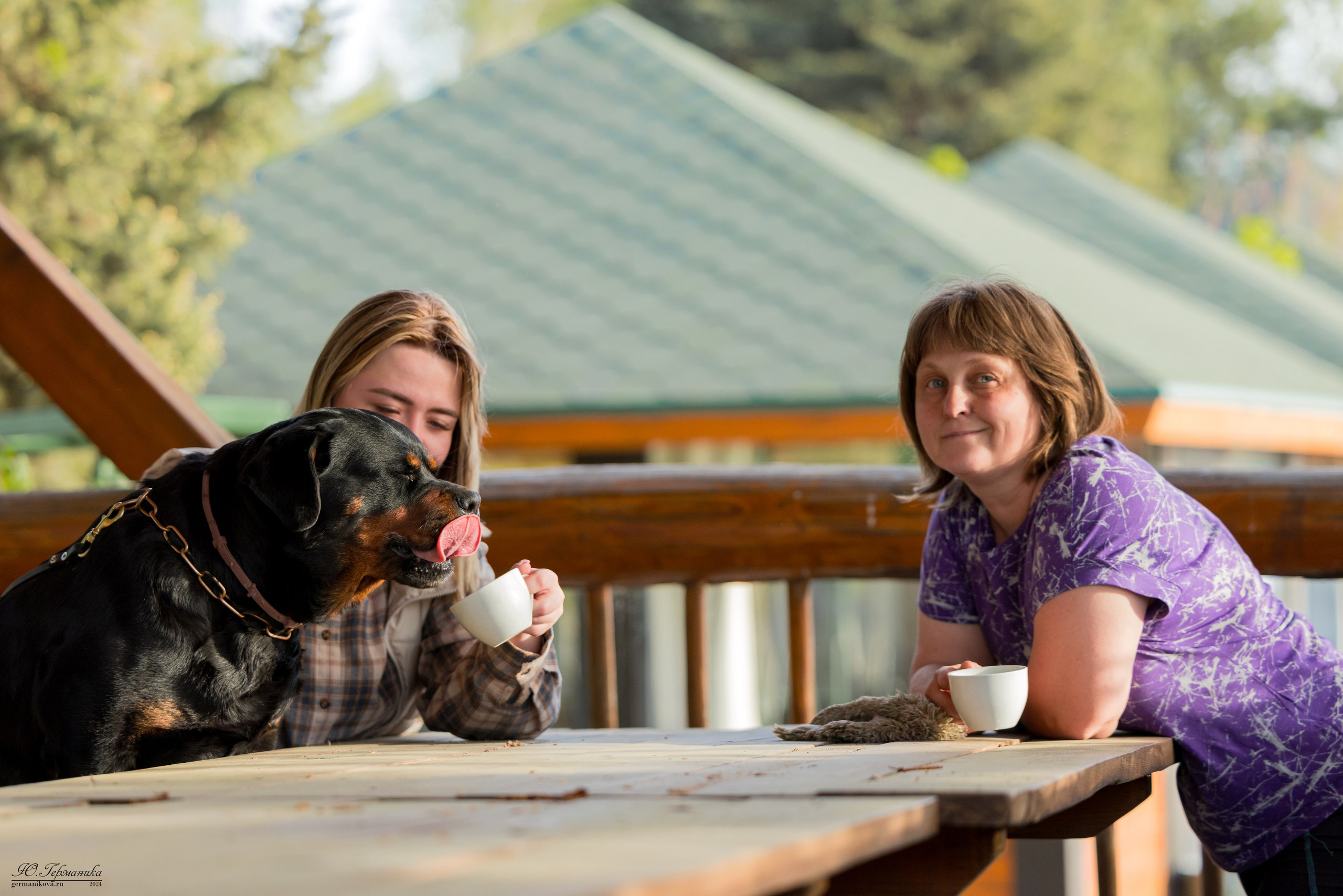 Саратов 2 х моно ротвейлеров 28-29.04.2024. Фотограф-анималист Юлия Германика