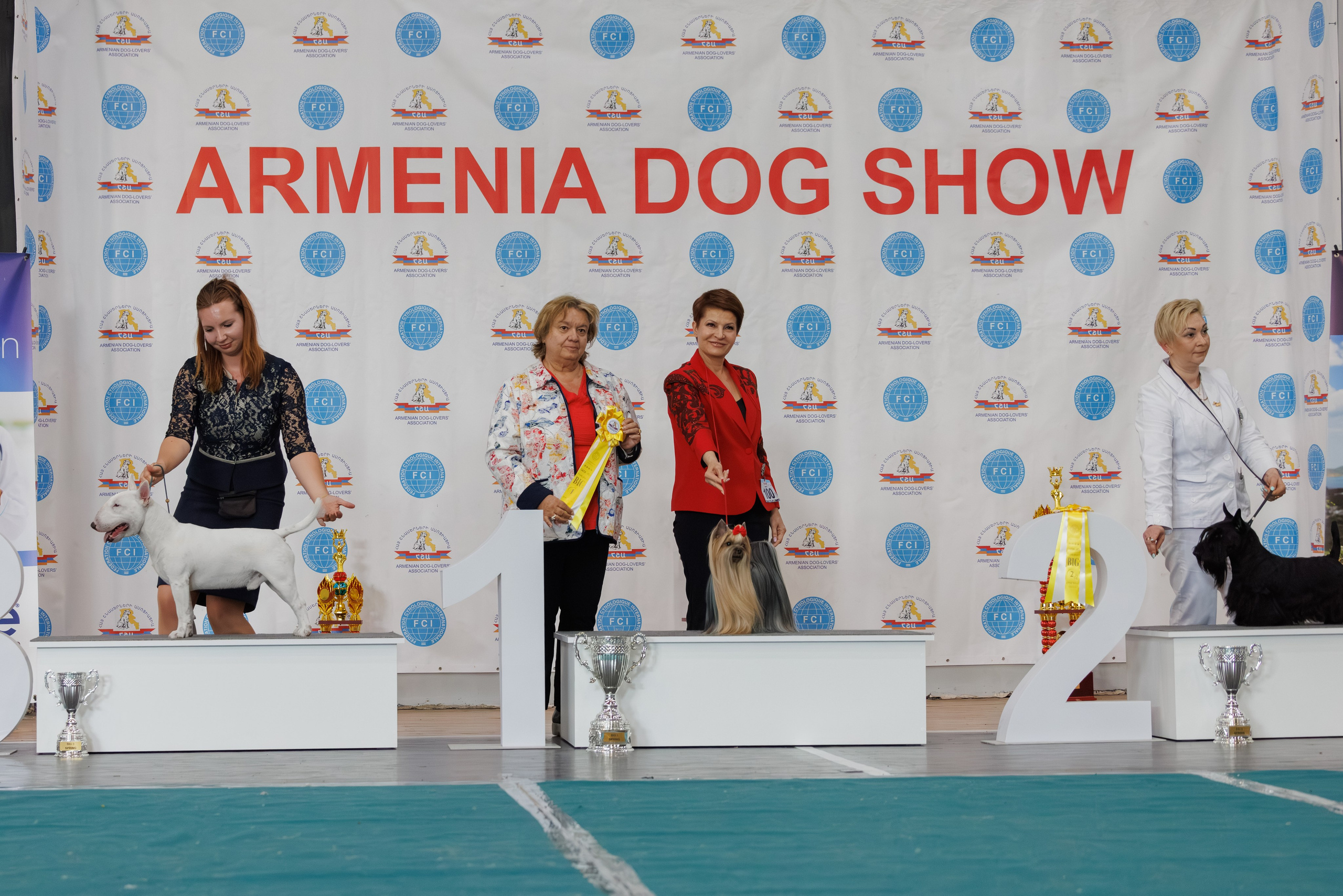 Ереван 2х CACIB 29-30.04.2025. Фотограф-анималист Юлия Германика