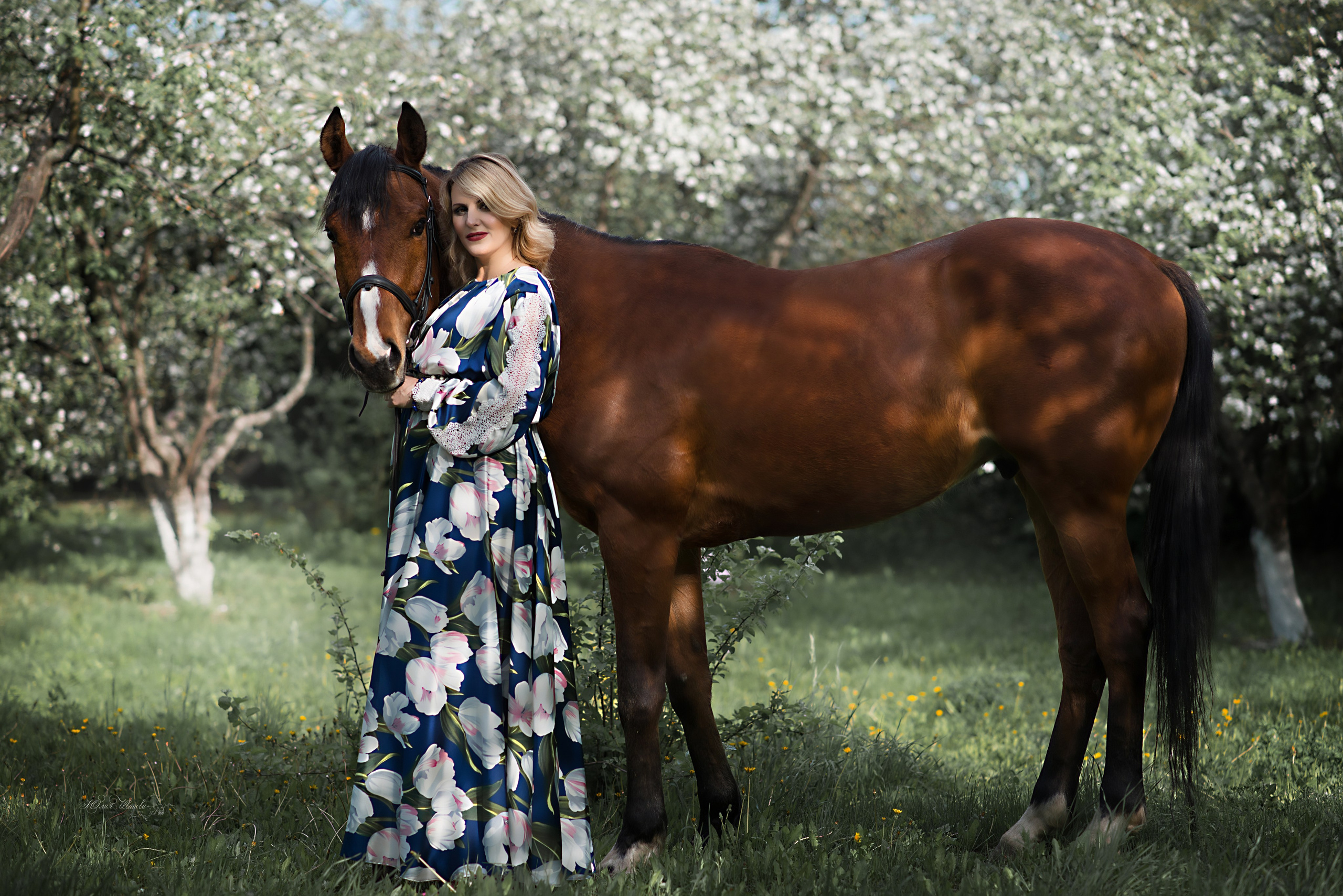 Беременность. Конный фотограф в Саратове Юлия Иванова