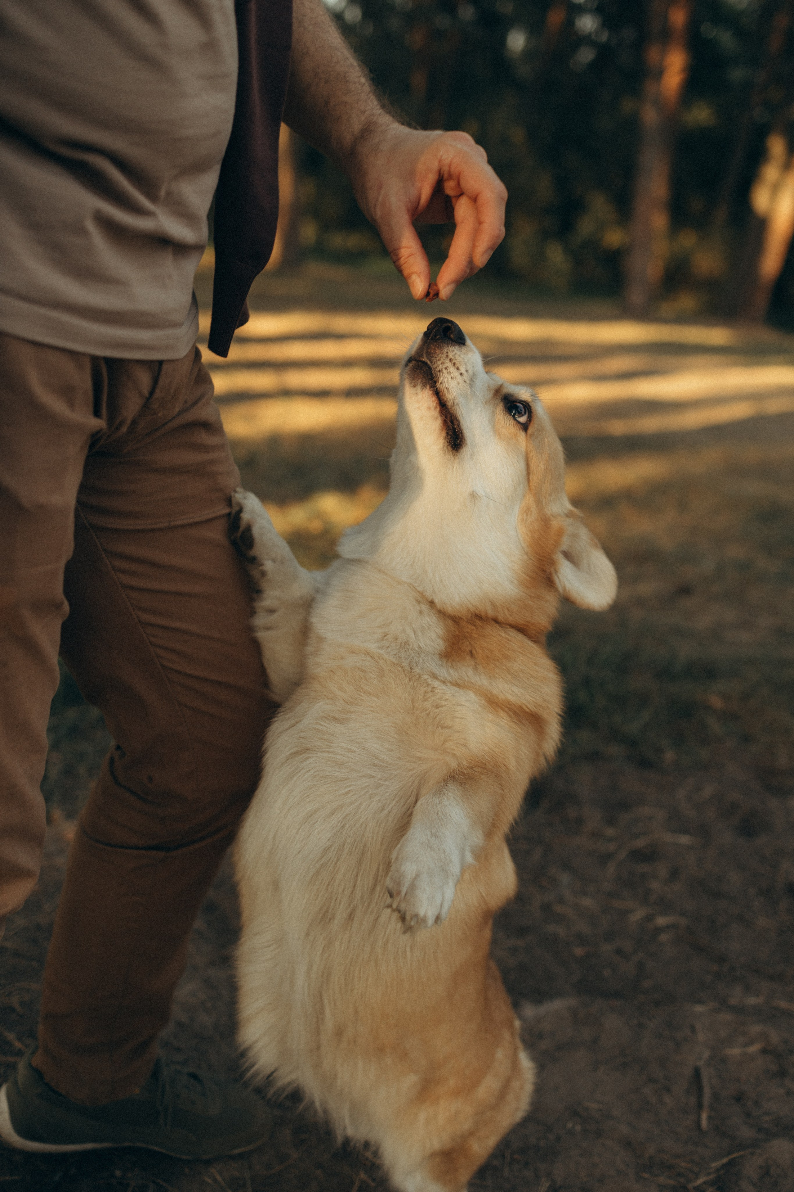 Светлана, Даниил, Оля и Юра. Семейный фотограф в Москве Бунина Маргарита