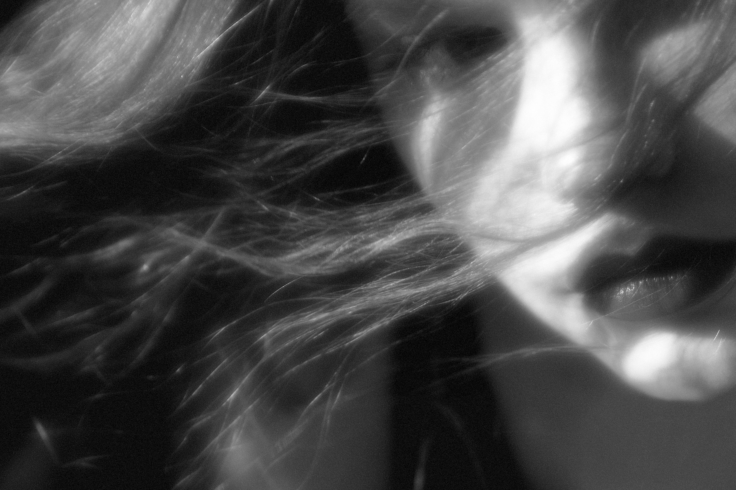 Фотограф в Мурманске Оксана Черноморец