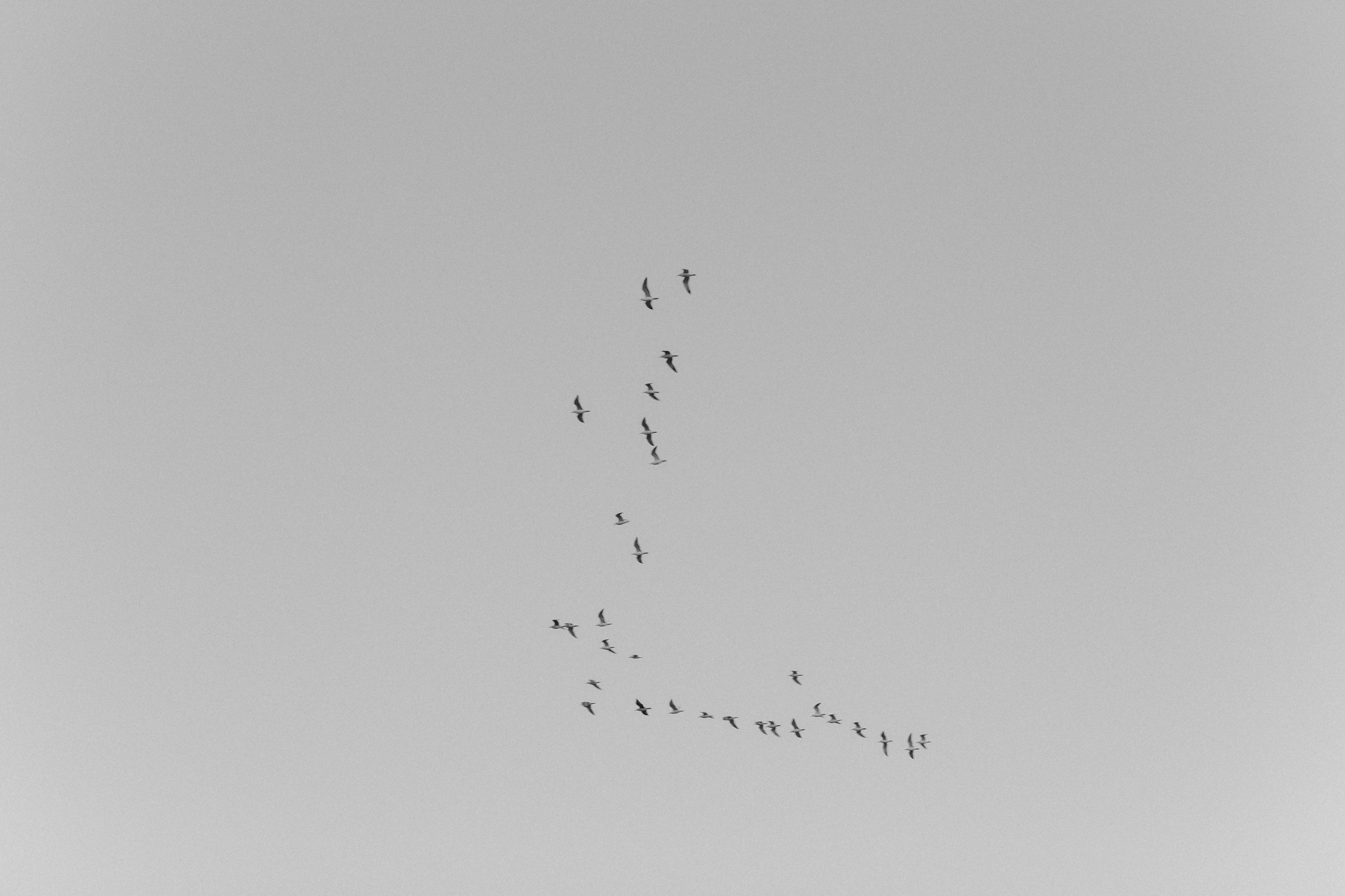 Кирилл и Инна. Свадебный и семейный фотограф в Волгограде Галина Микитинская