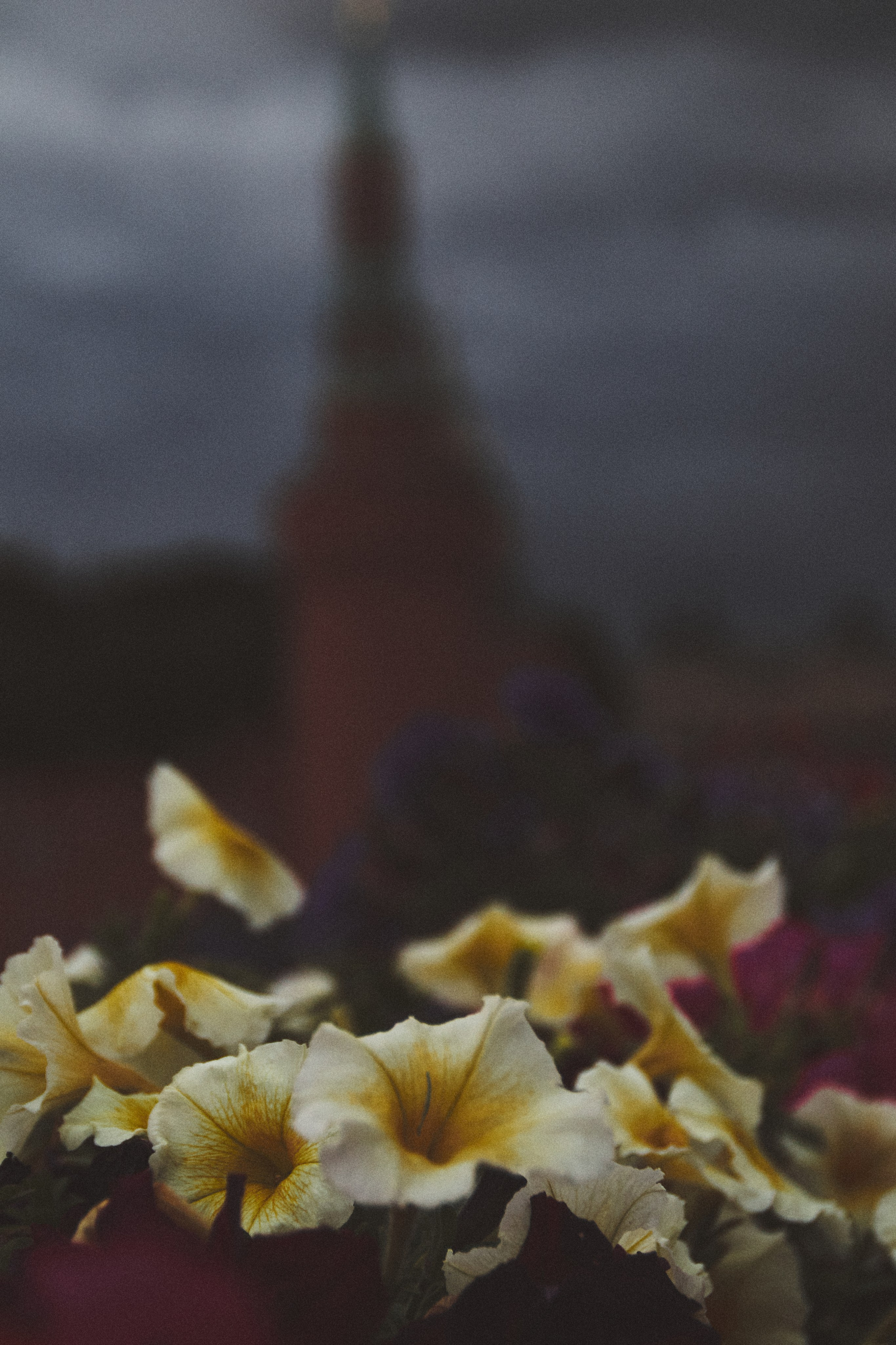 Москва. Фотограф Александр Рауш