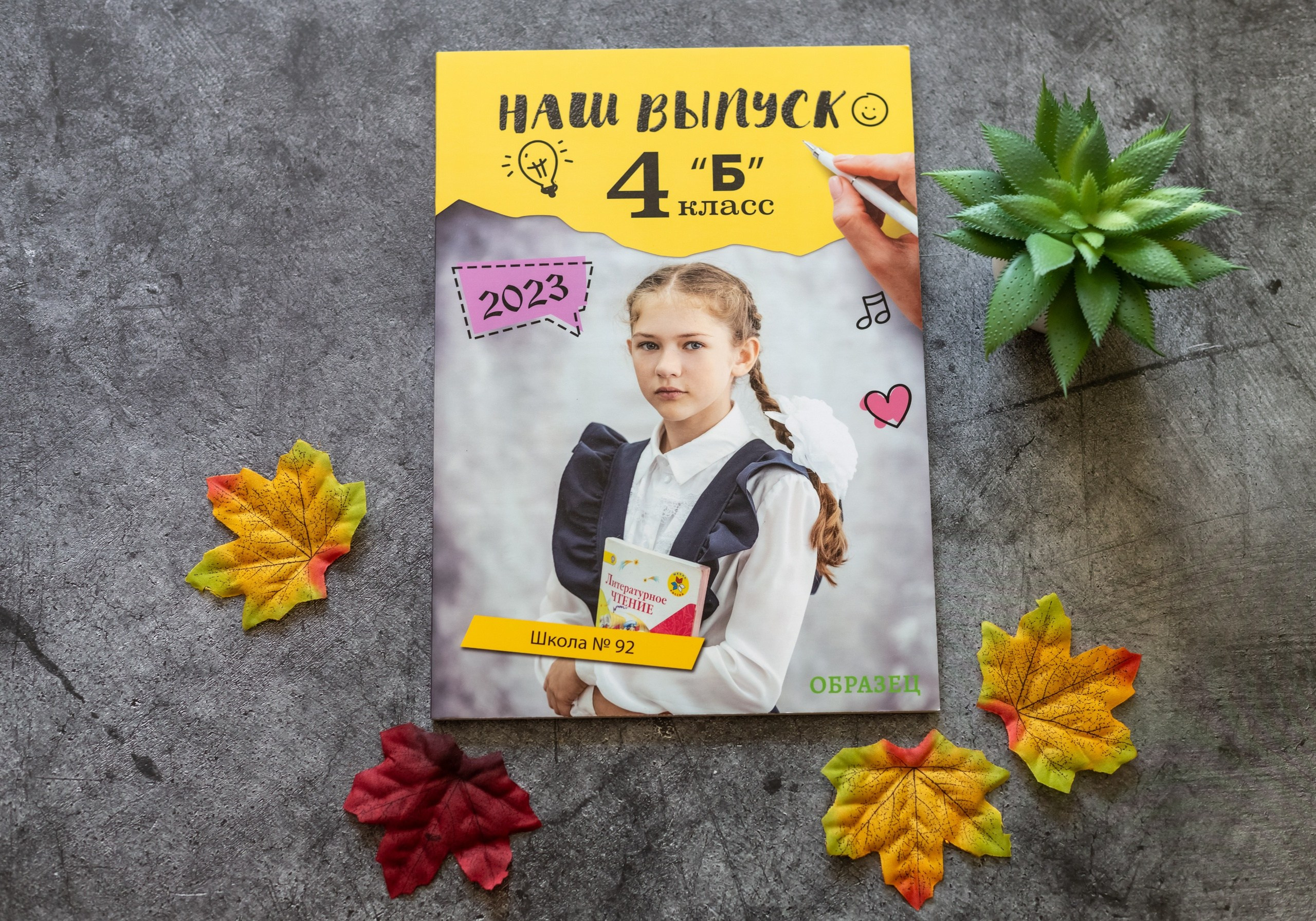 Варианты обложек. Выпускные альбомы Воронеж от Веры Соколовой