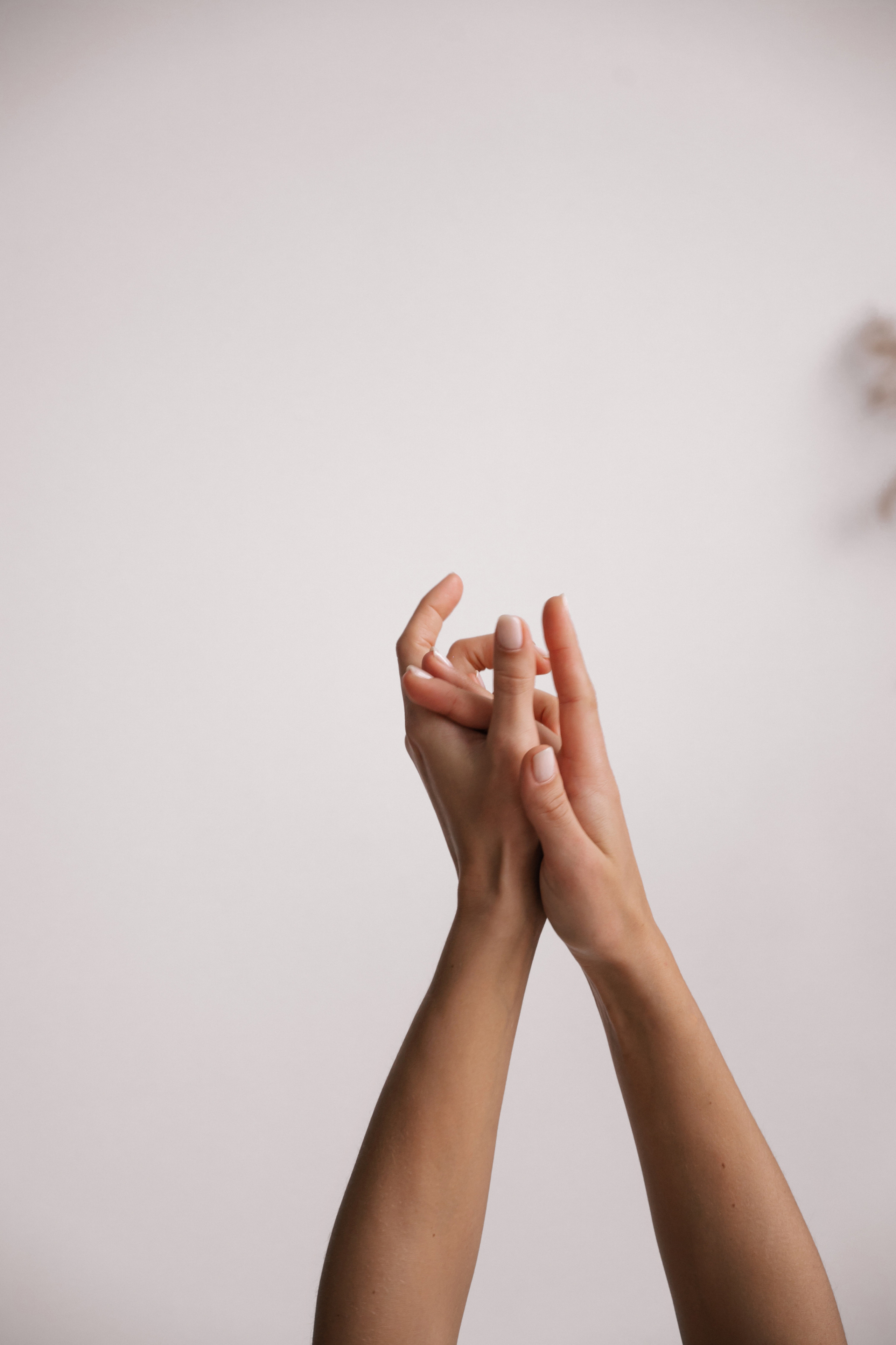 София. Свадебный и семейный фотограф Вероника Холод