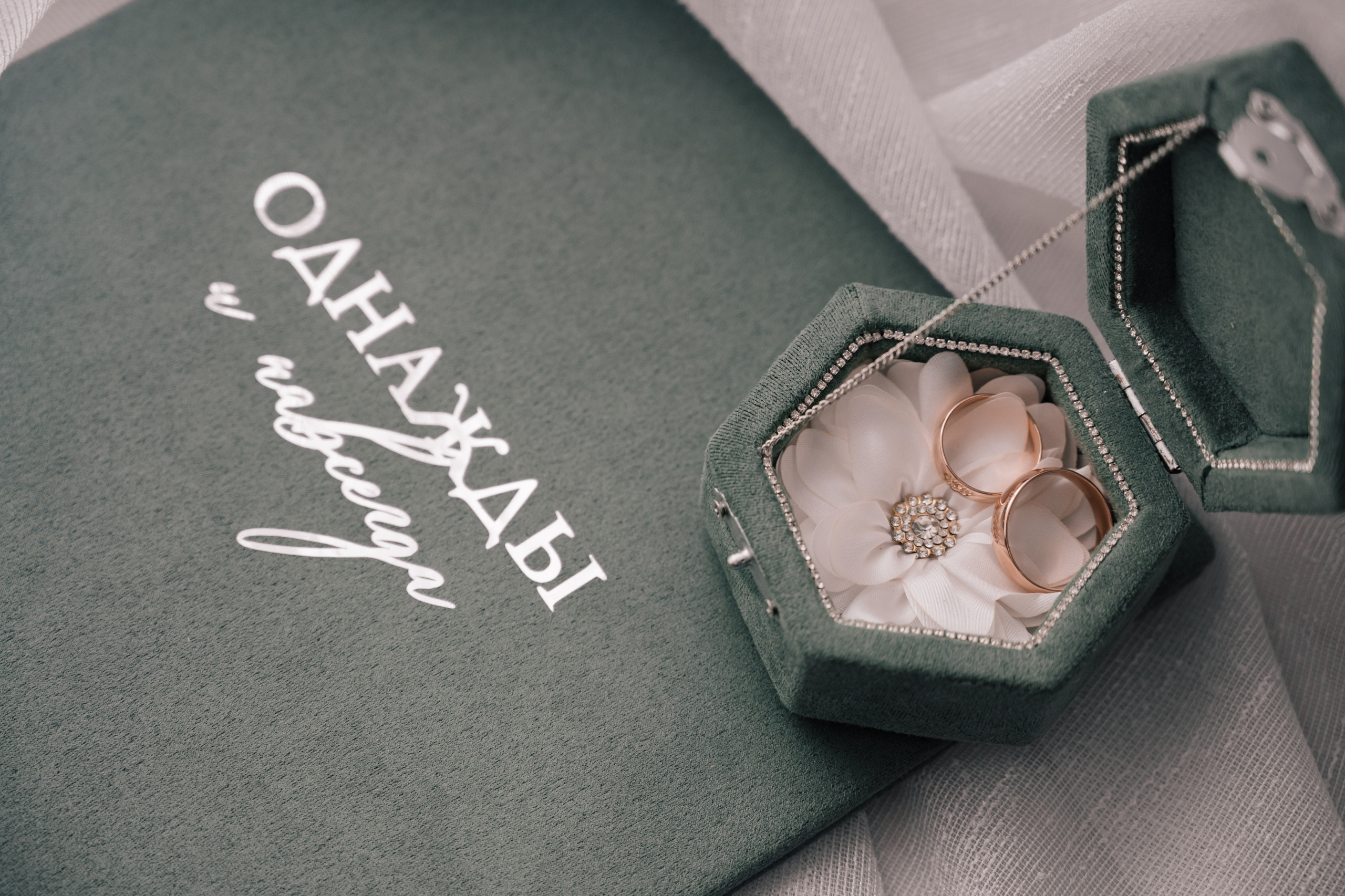 Victoria & Max. Свадебный и семейный фотограф Вероника Холод