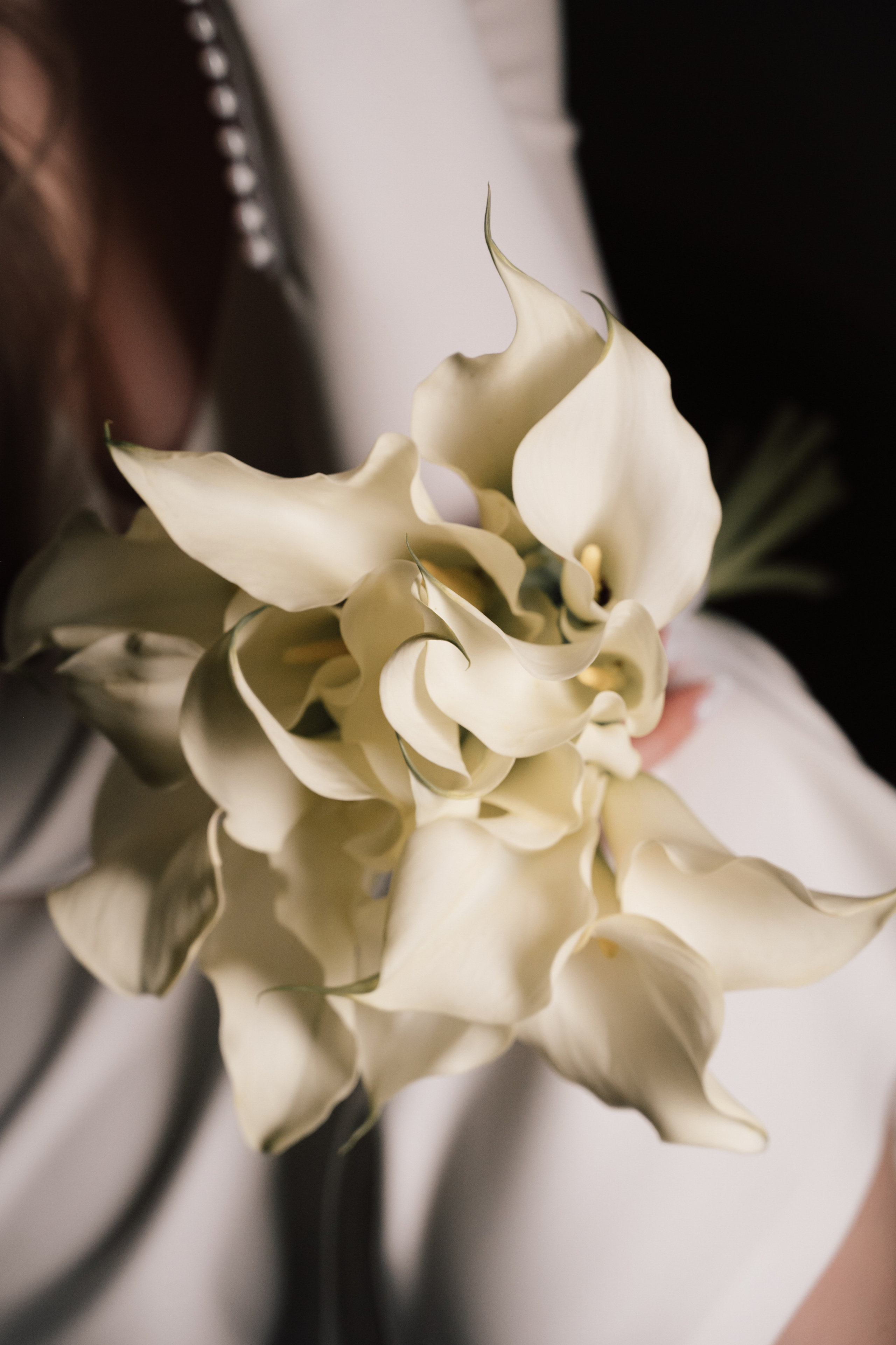 Victoria & Max. Свадебный и семейный фотограф Вероника Холод