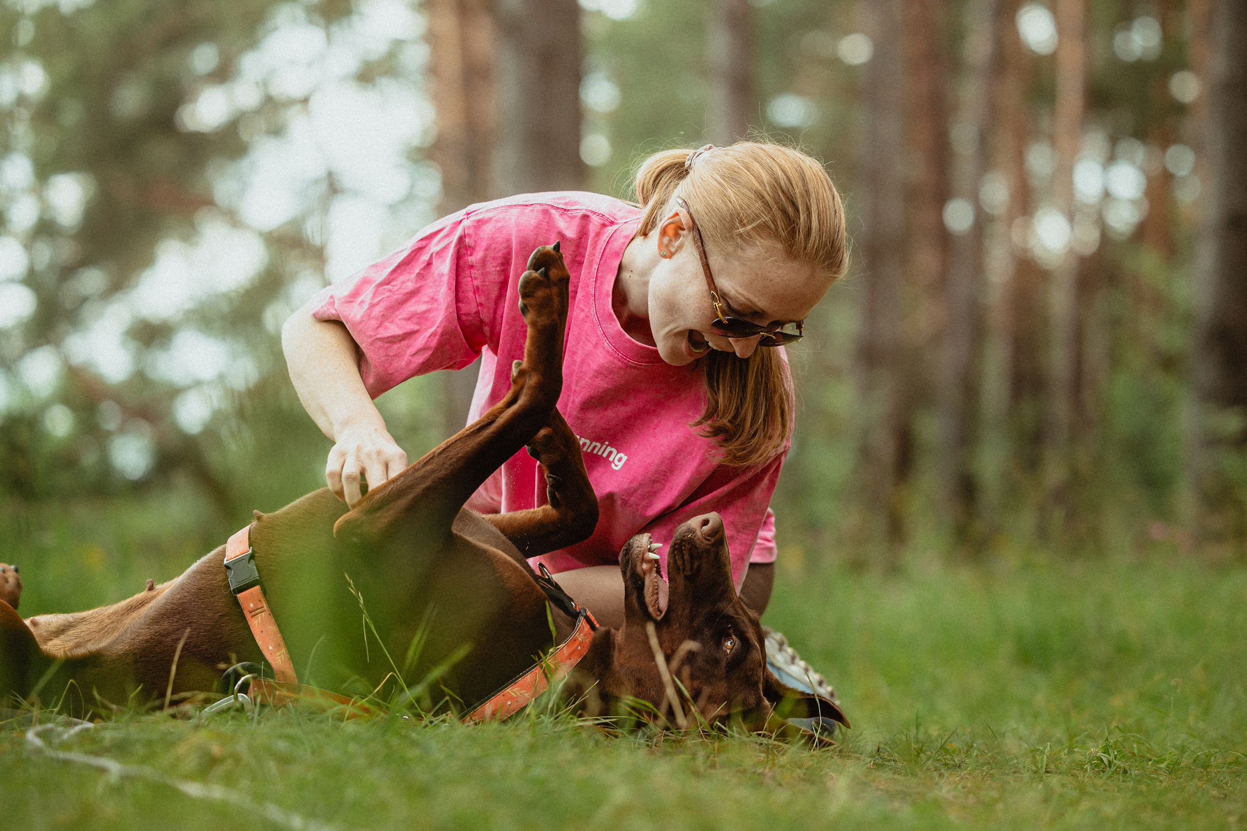 Выездной дог-тренинг от школы «Шерсть имею»
