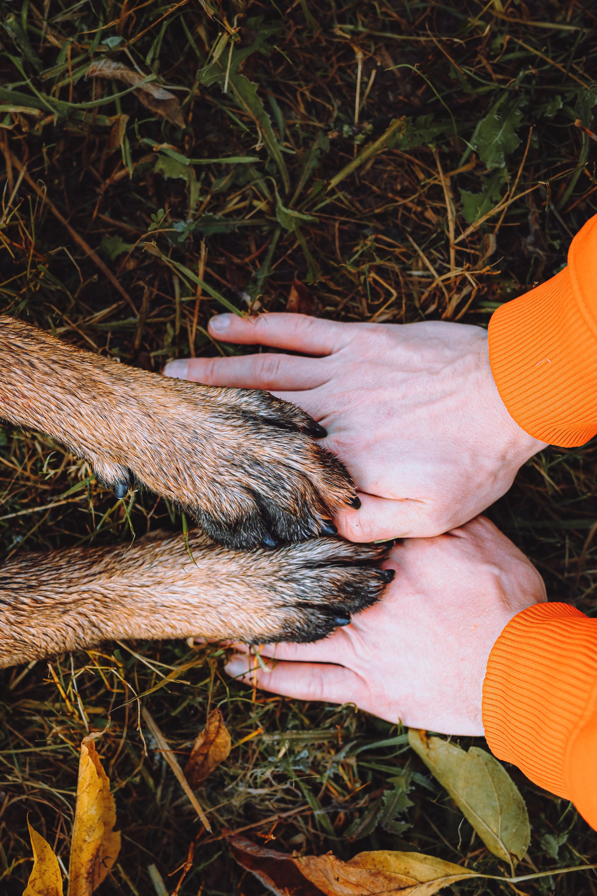 Никита и Ярик