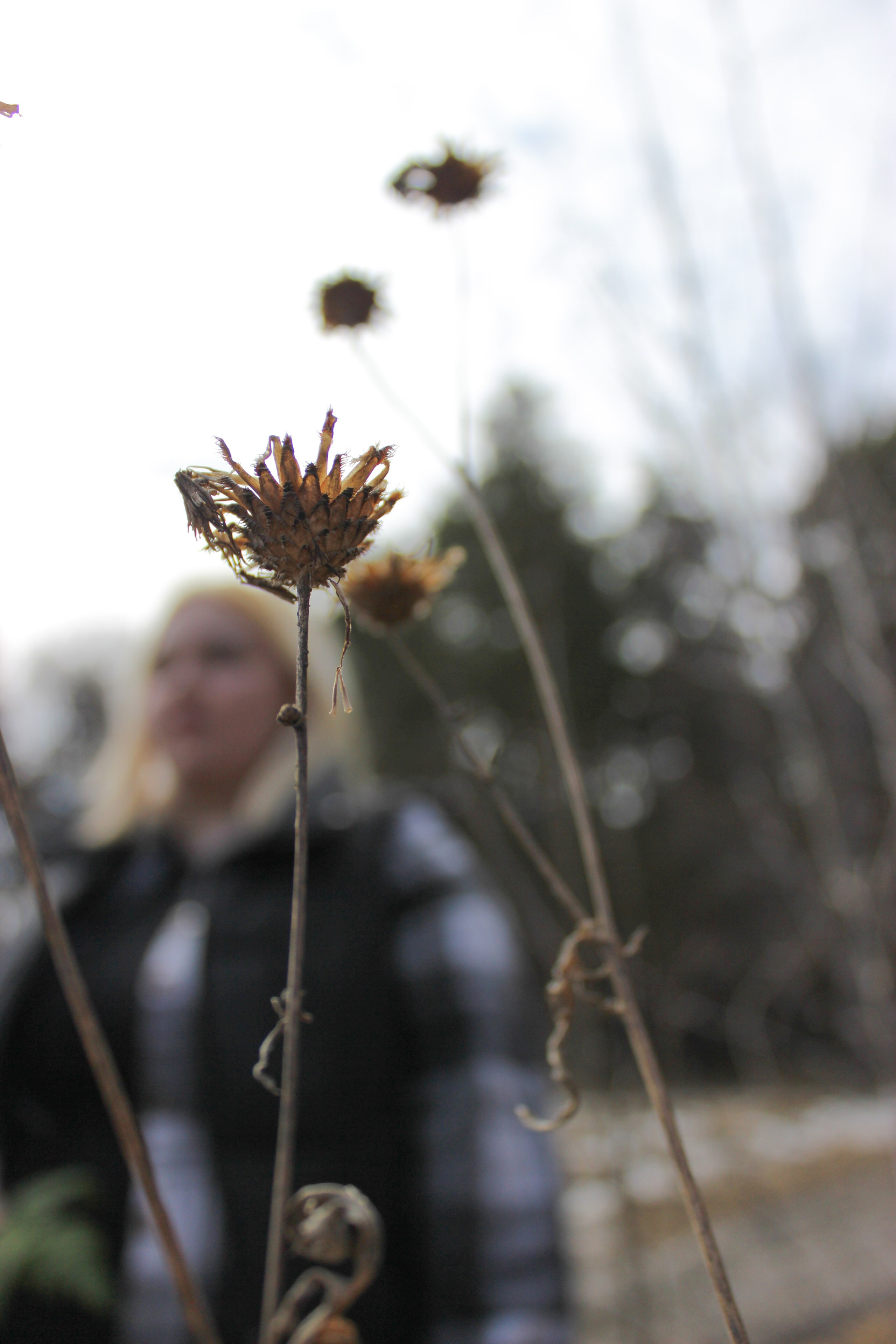 Прогулочные фотосессии. Фотограф Ольга Южная / Екатеринбург