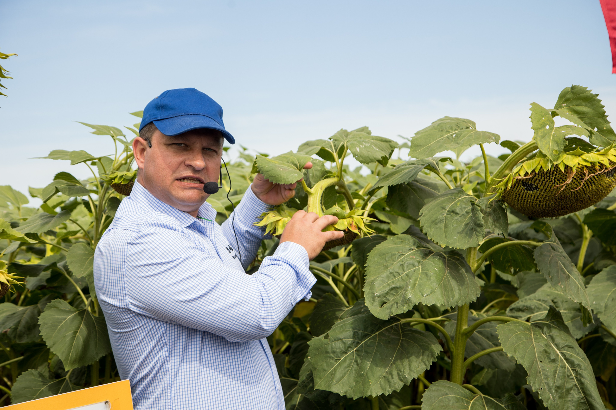 Решения для сельского хозяйства BASF 16.08.2022. Владислав Волков | Фотография и видеосъемка в Воронеже