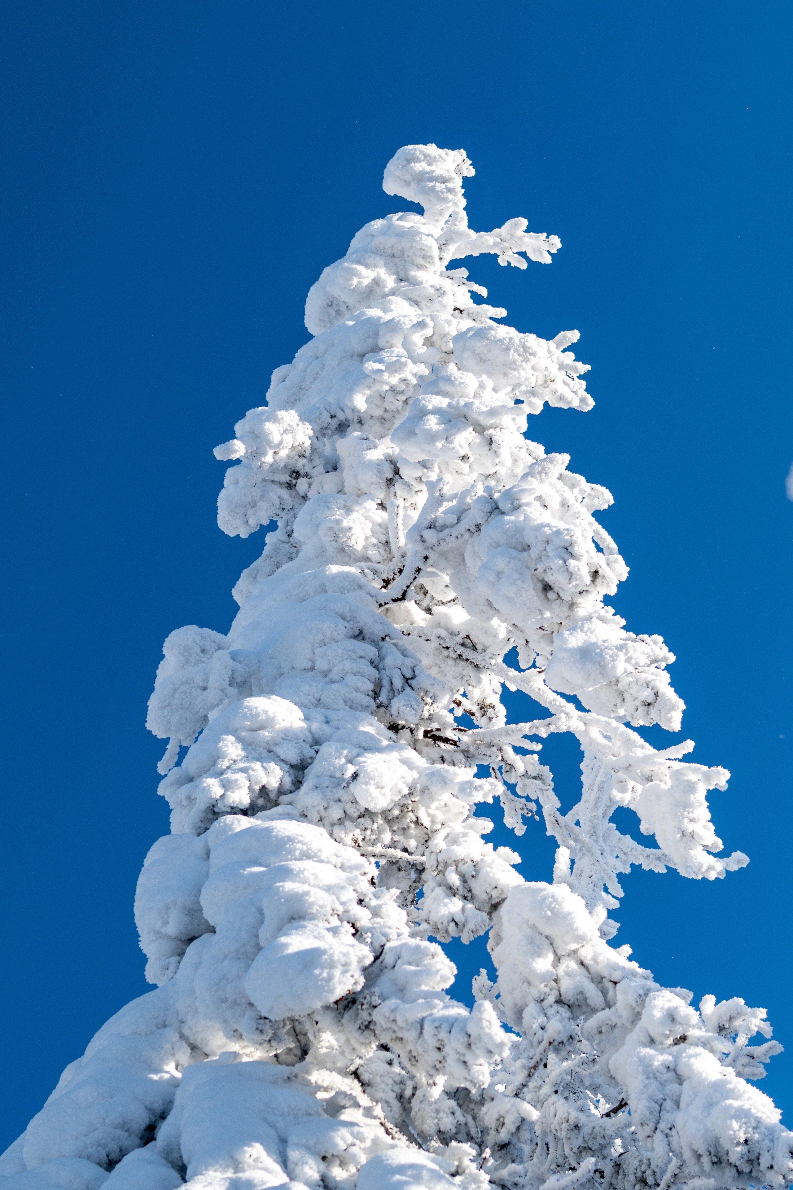 Репортаж/Портреты. …