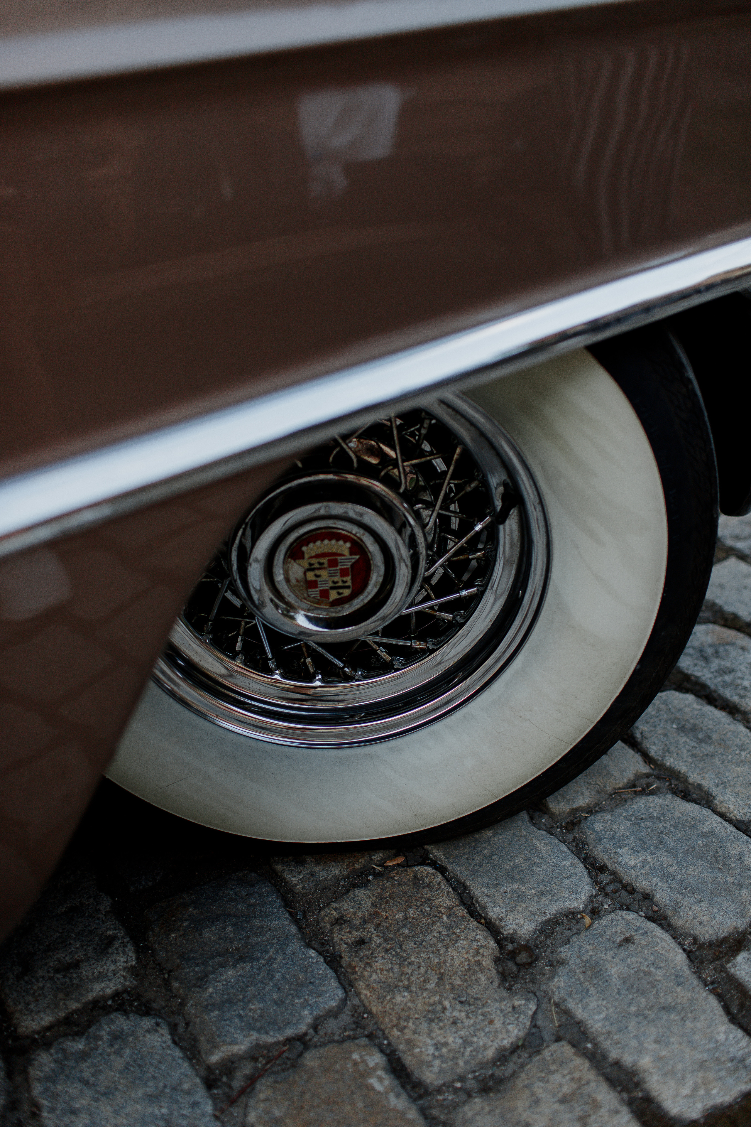 Алина и Сергей. Photographer Smyslova Lilia