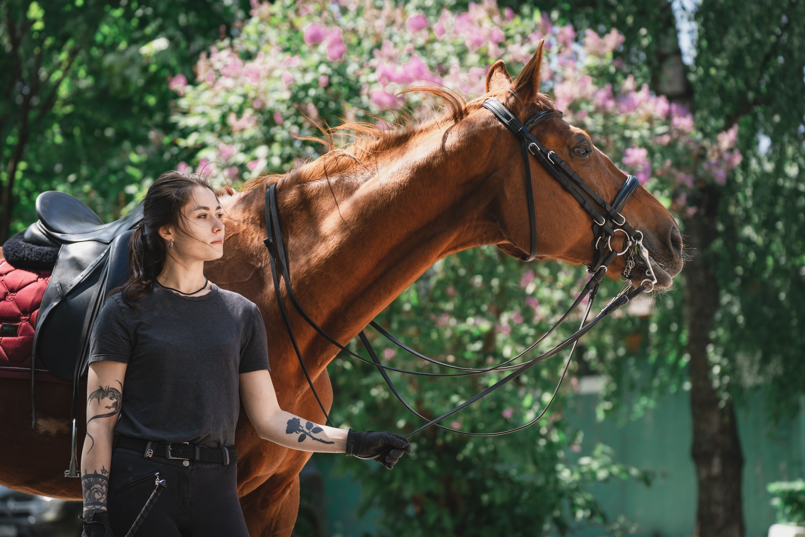 Валерия и Ланселот. Тренировка по выездке. КСК «Урожай». Фотограф в Москве Ленарская Дарья