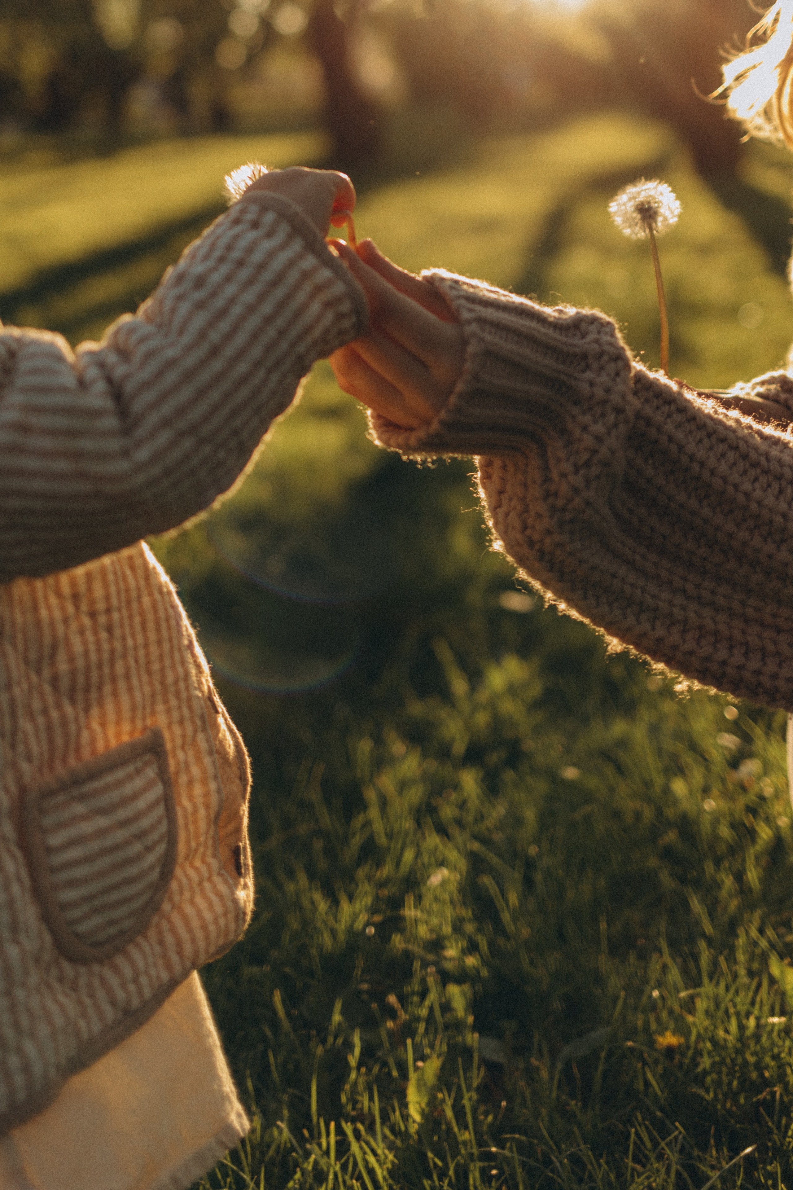 Андрей, Марина и Варя. Семейный фотограф в Москве Валерия Мясникова
