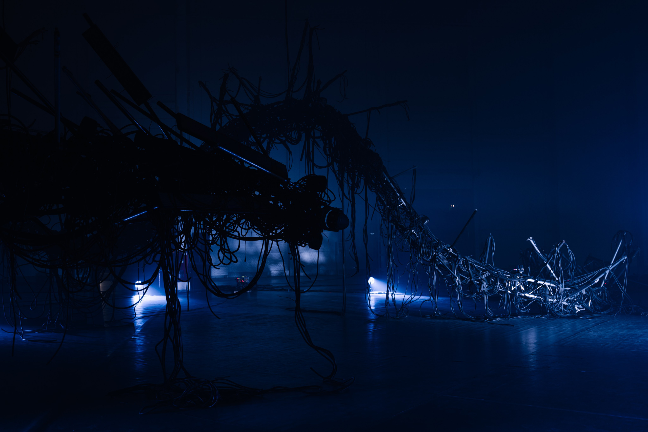 PANTERRA, CHRONOMORPH 001. @tomrus: Рустам Шагиморданов — фотограф