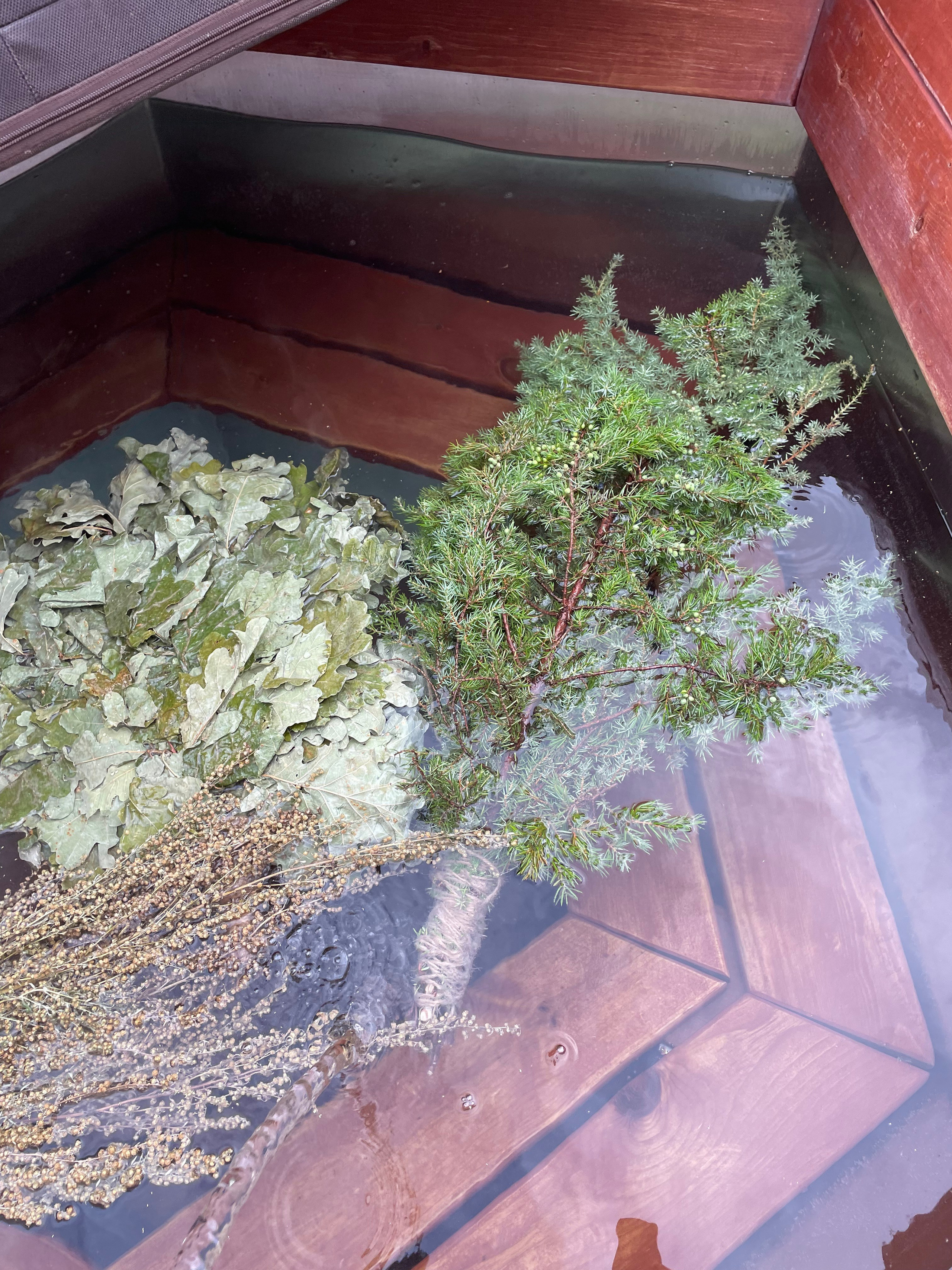 Чан. Организатор загородного отдыха в Переславле Валерия