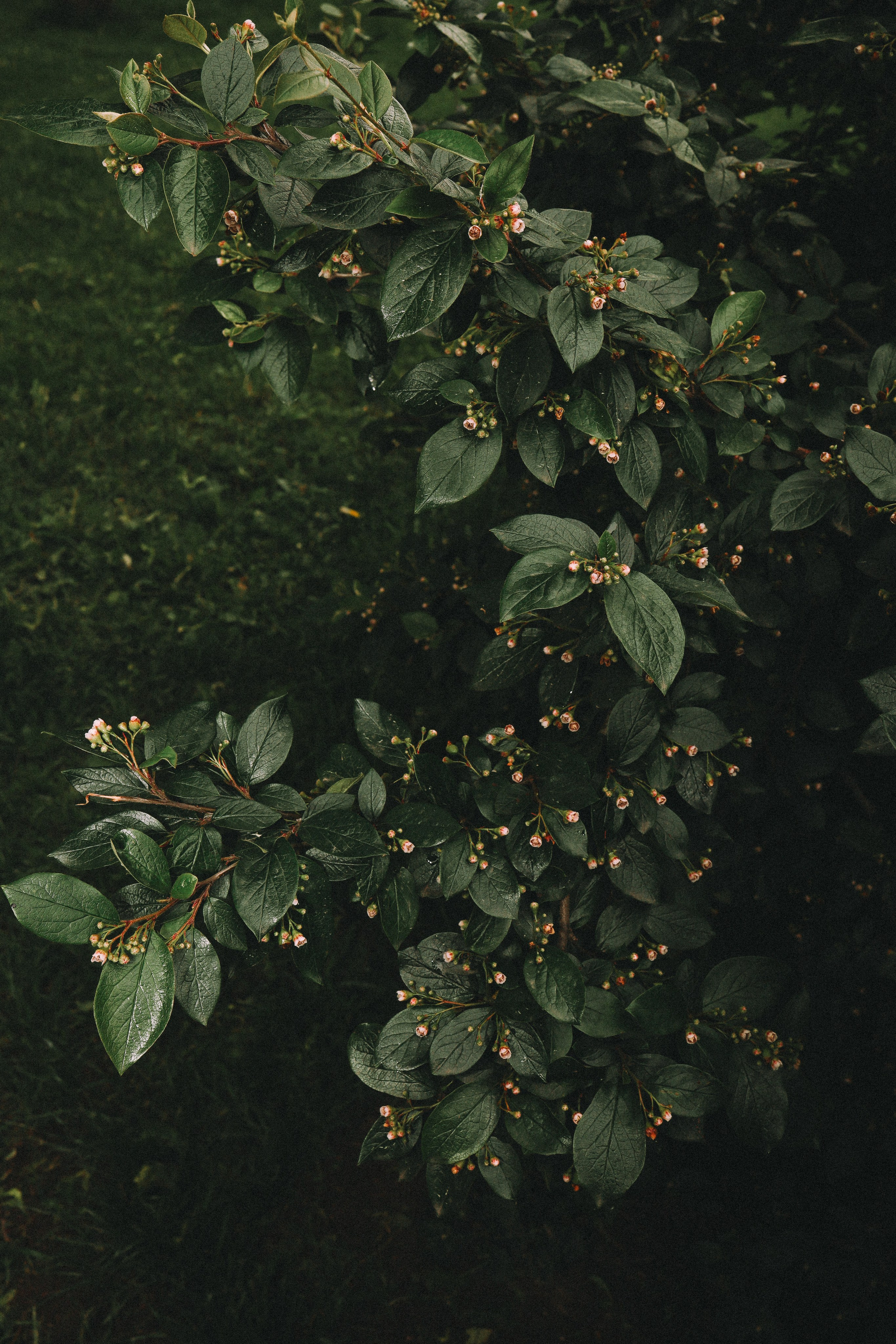 Природа &. Фотохудожник в СПб