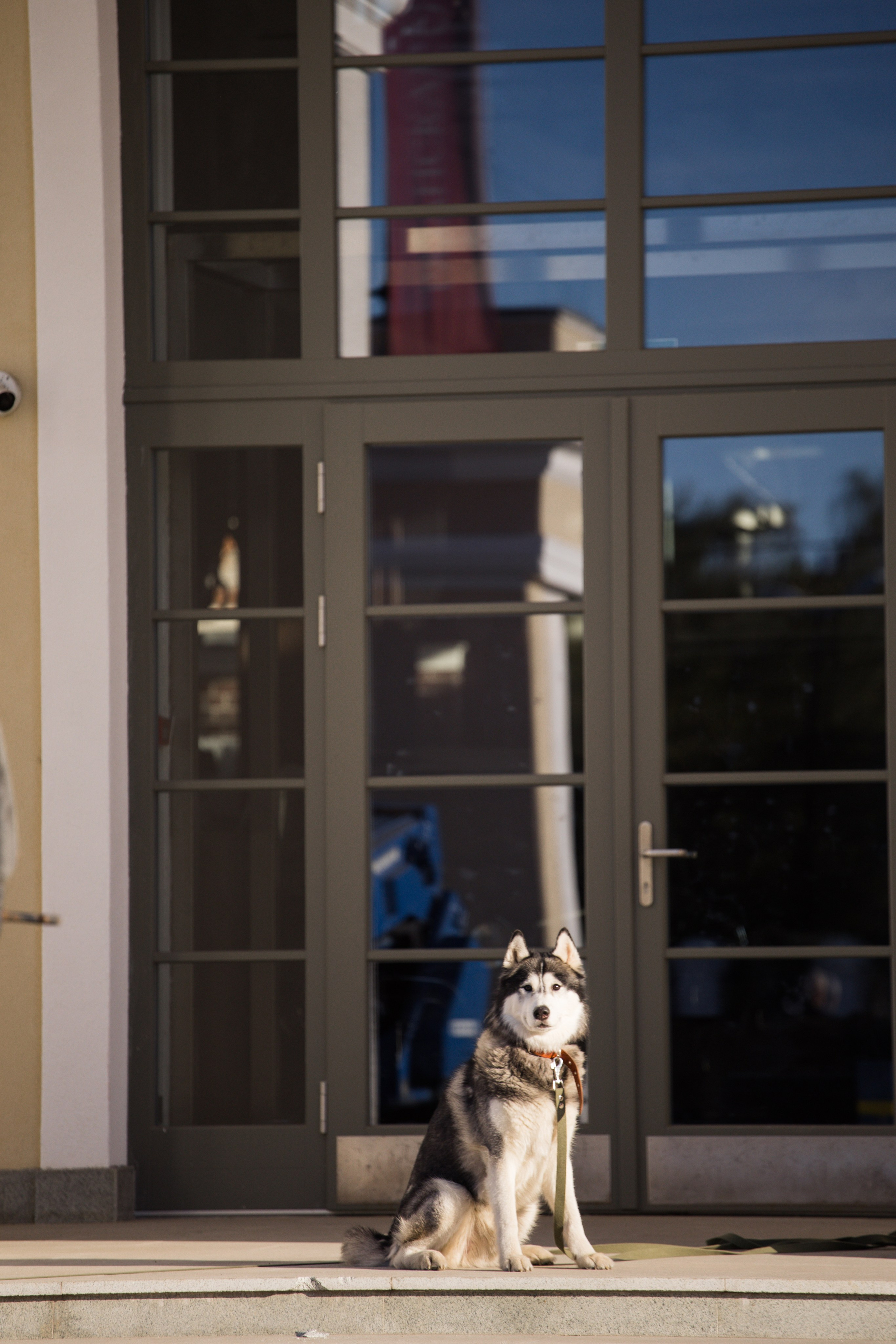 Александра и Александр. Свадебный и семейный фотограф Егорова Юлия