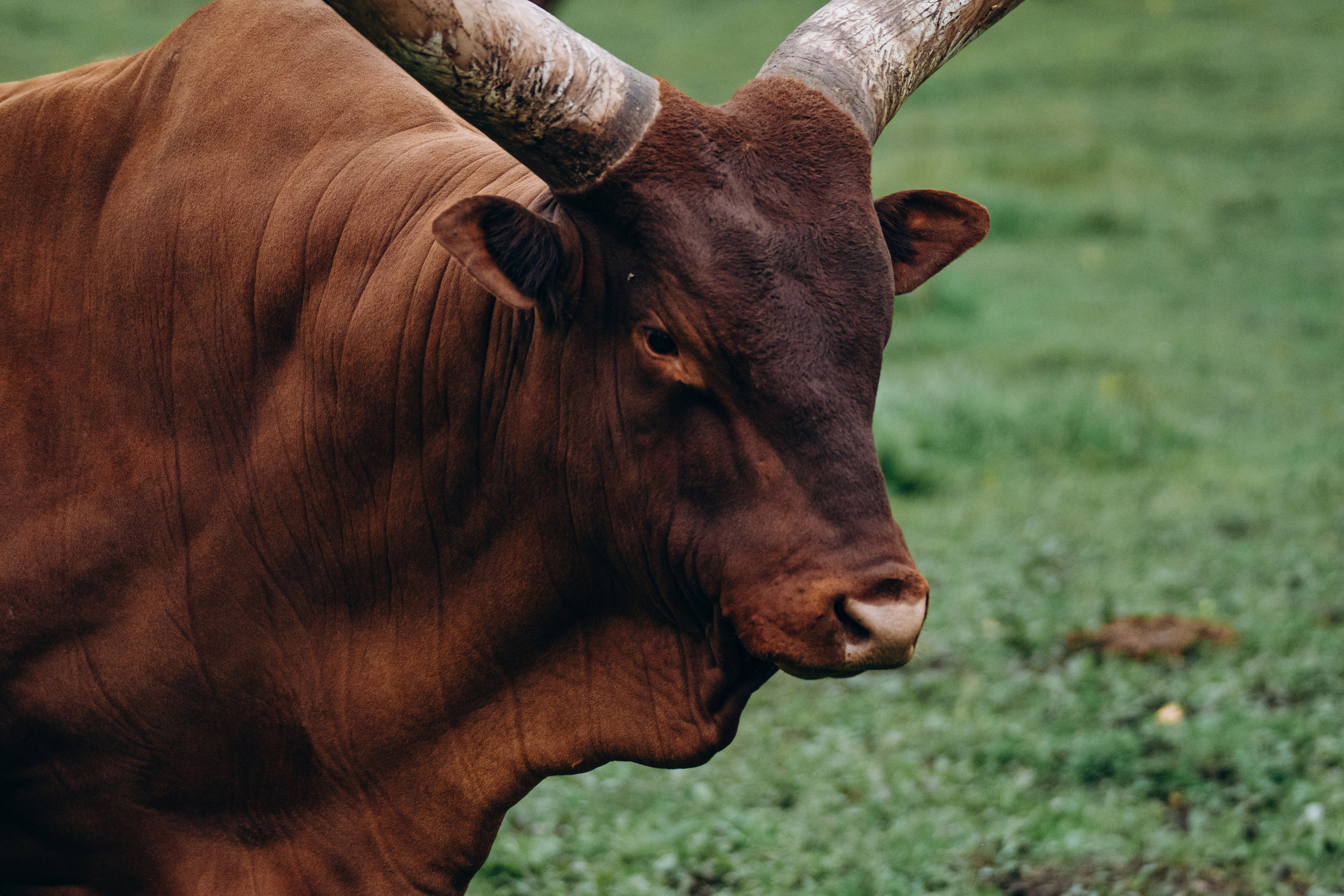 СЕВЕР. Event фотограф Степанова Александра