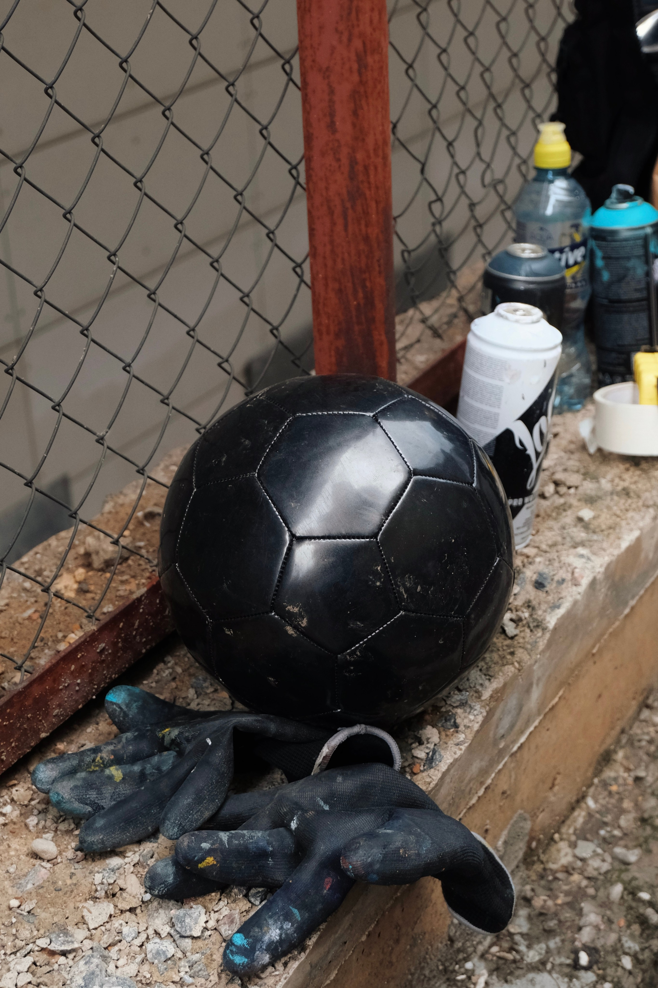 Сборная сербии х pari. Татьян гертье