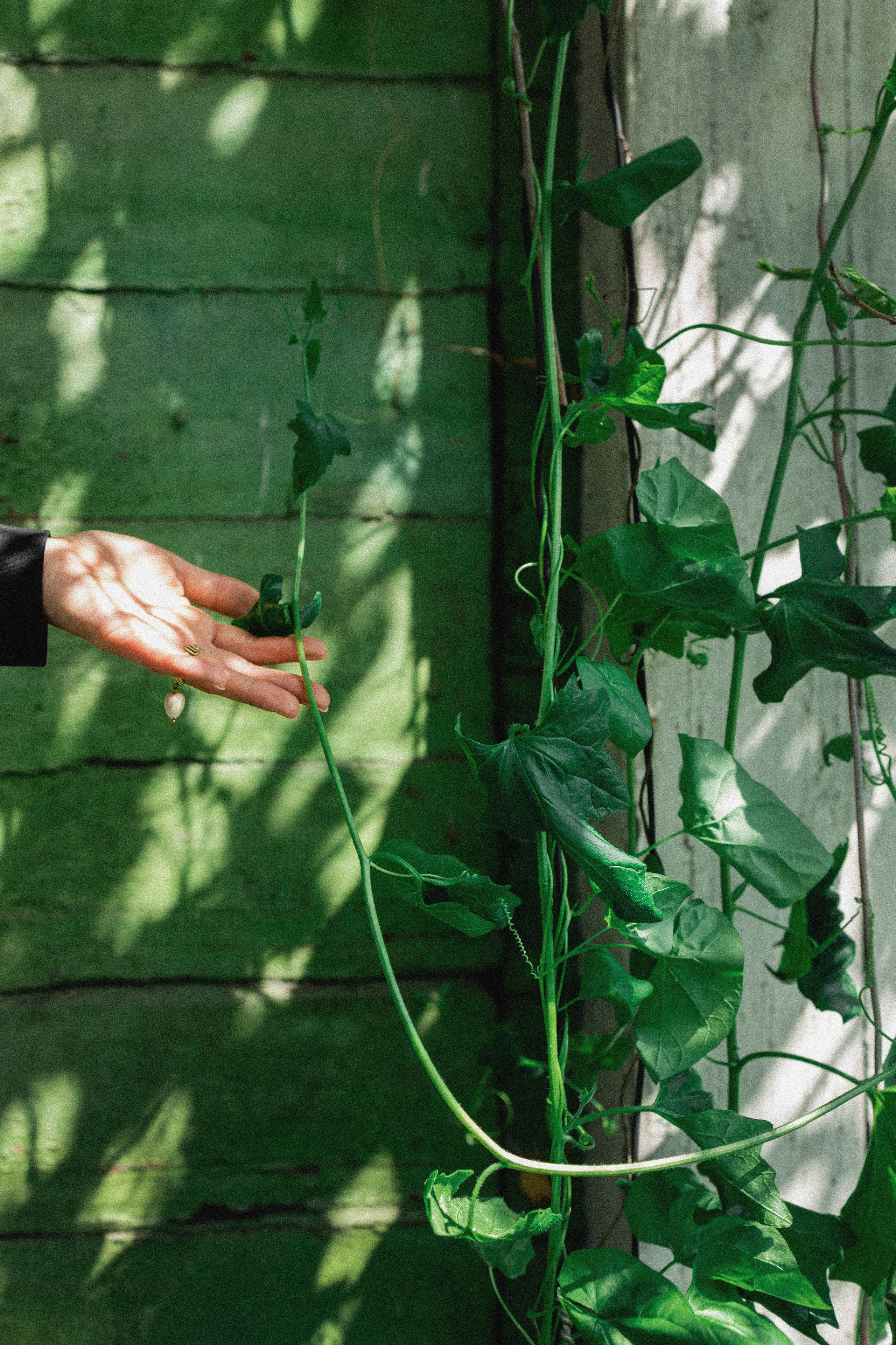 Эстетика П р о Я в л е н и я. Виноградова Маргарита. Фотограф P r o Явления