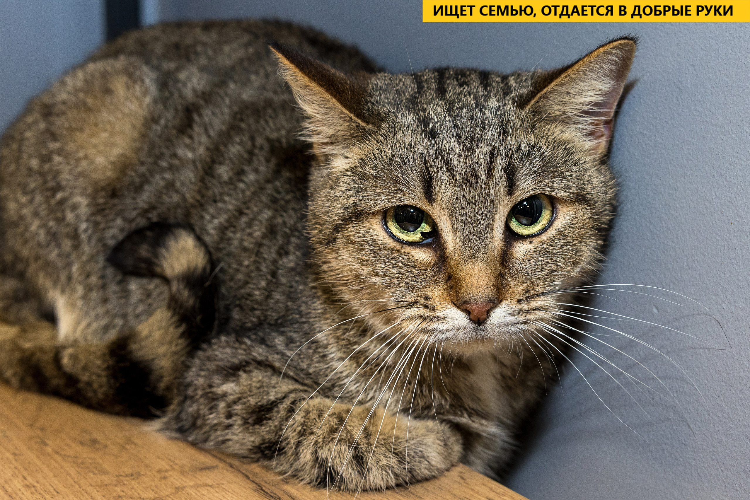 Рекламная съемка в Москве. Геннадий Степанов —фотограф в Москве