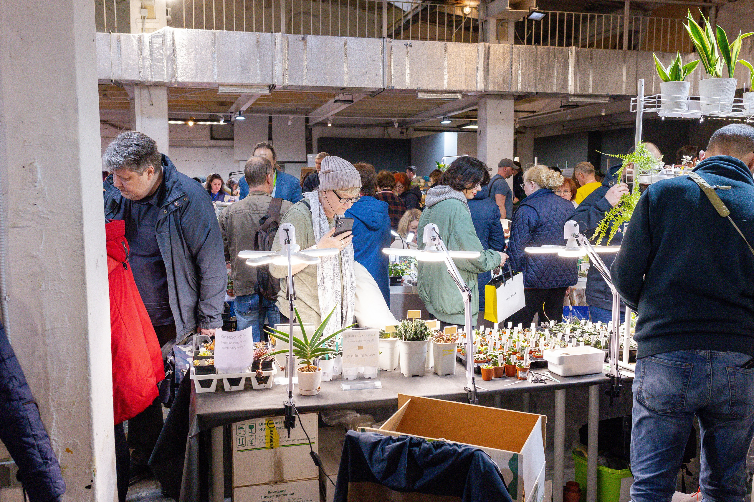 Кактус Фест. Александра Куликова фотограф, Москва