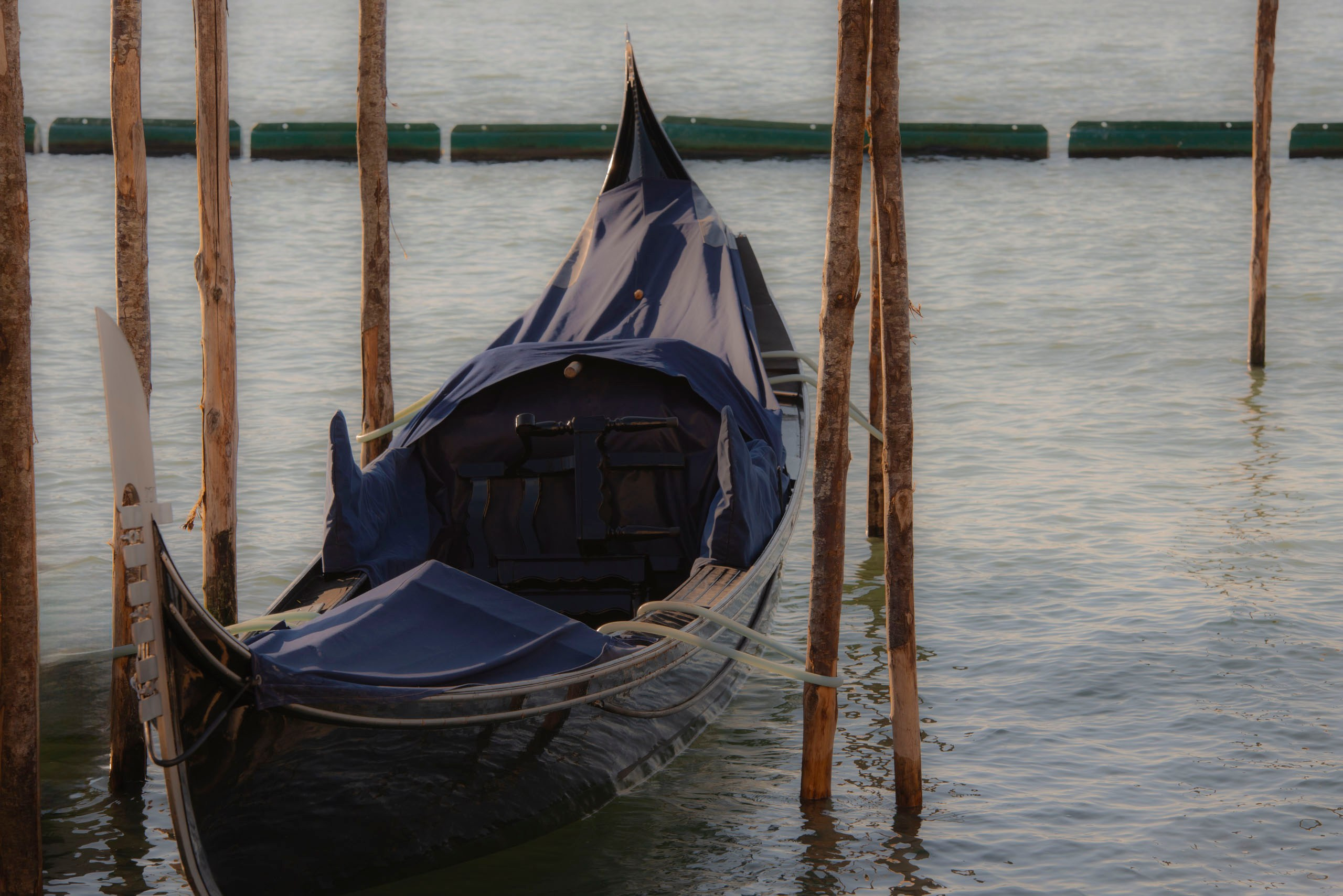 Визуальный мир