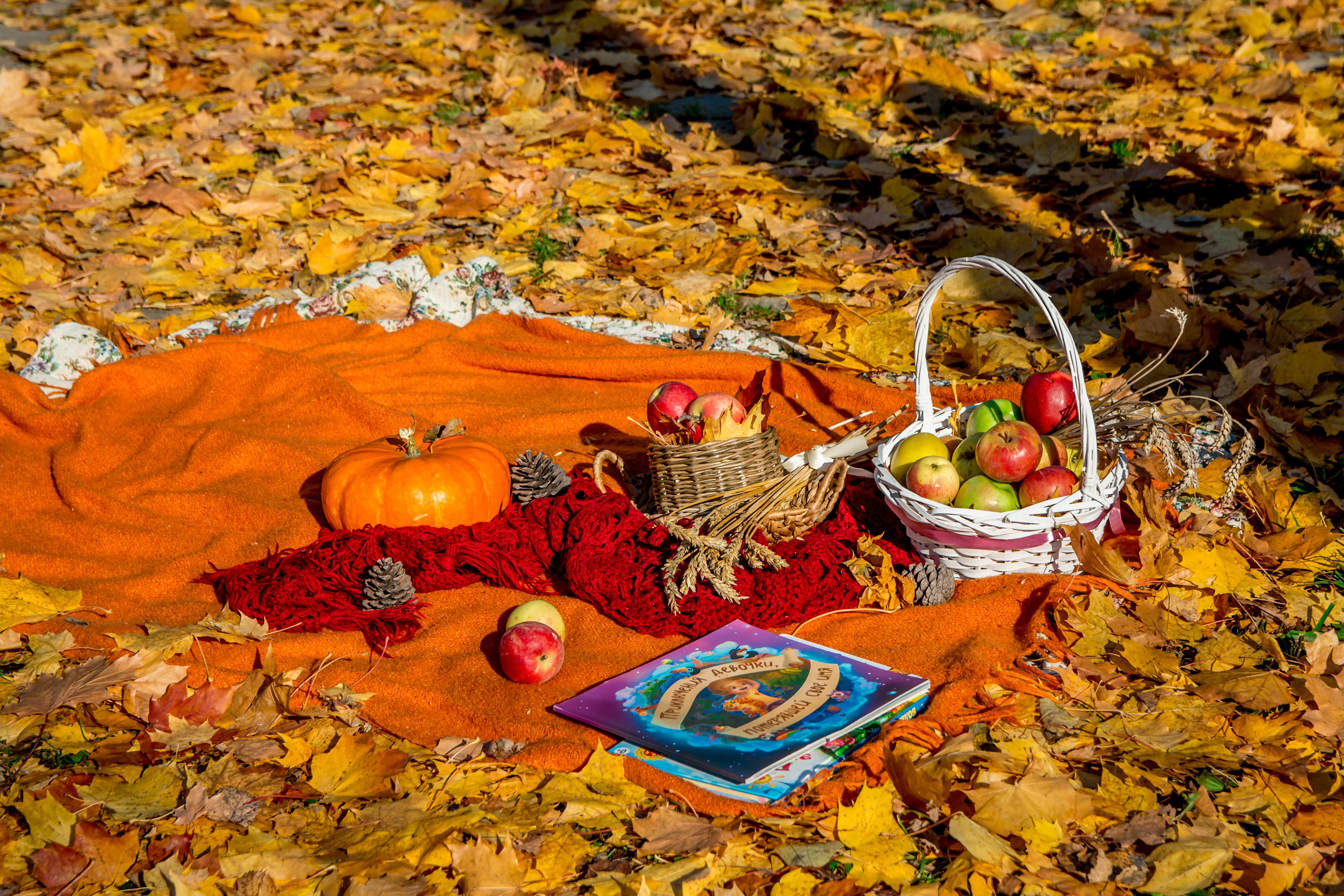 Съемки жизни в детском саду. Выпускные альбомы в Обнинске