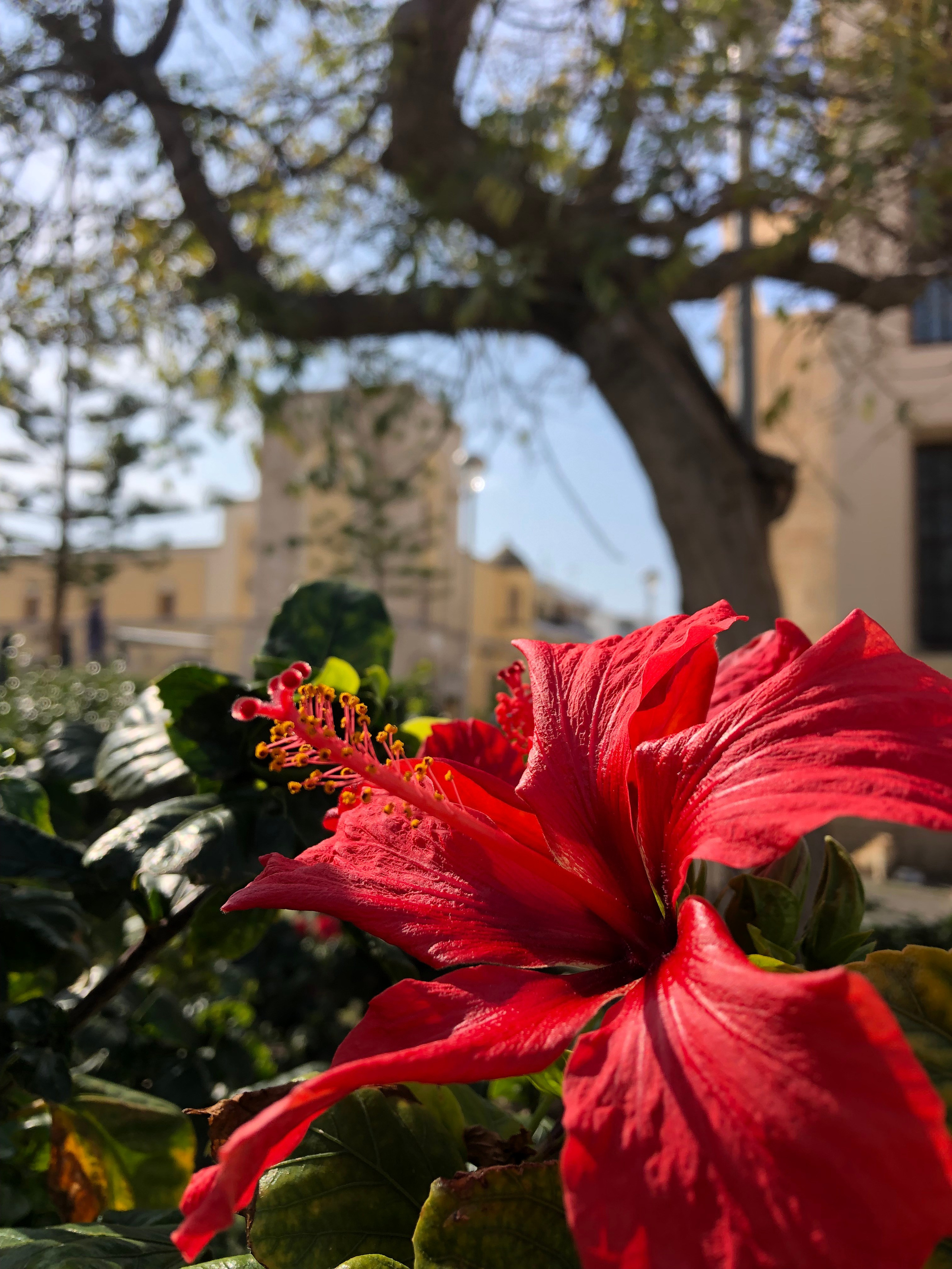 Остров Кос 🇬🇷. Anita_photo