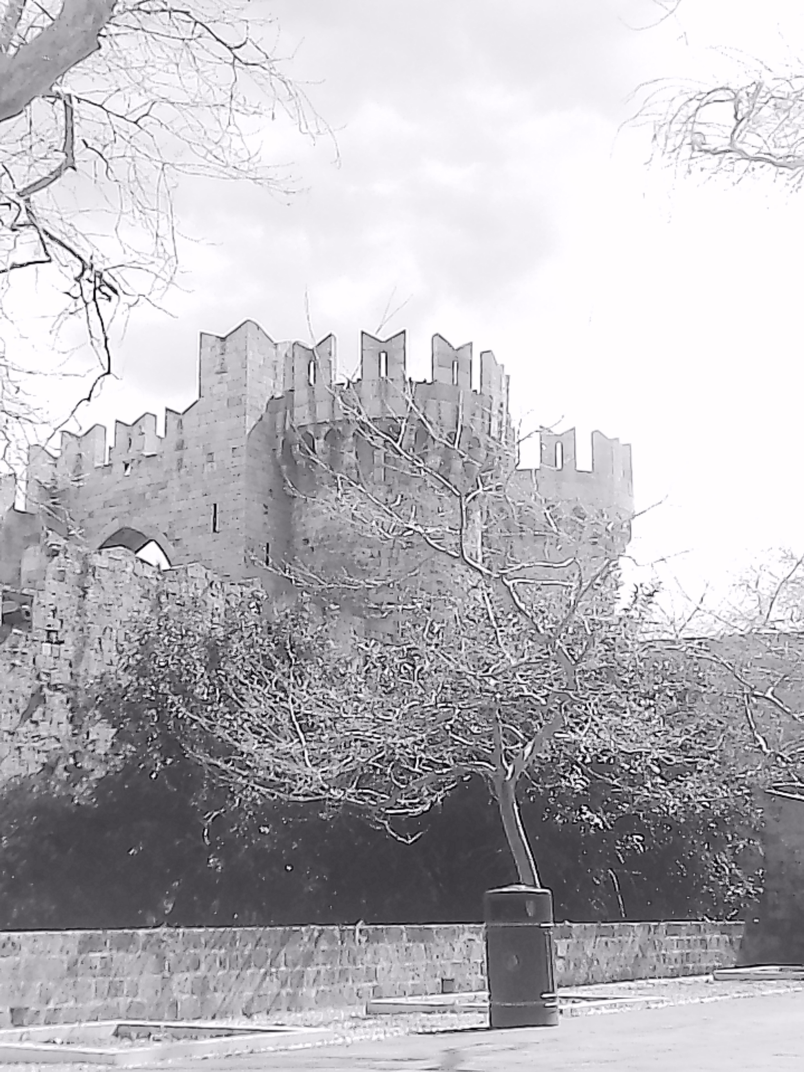 «Крошка 🐣». Anita_photo