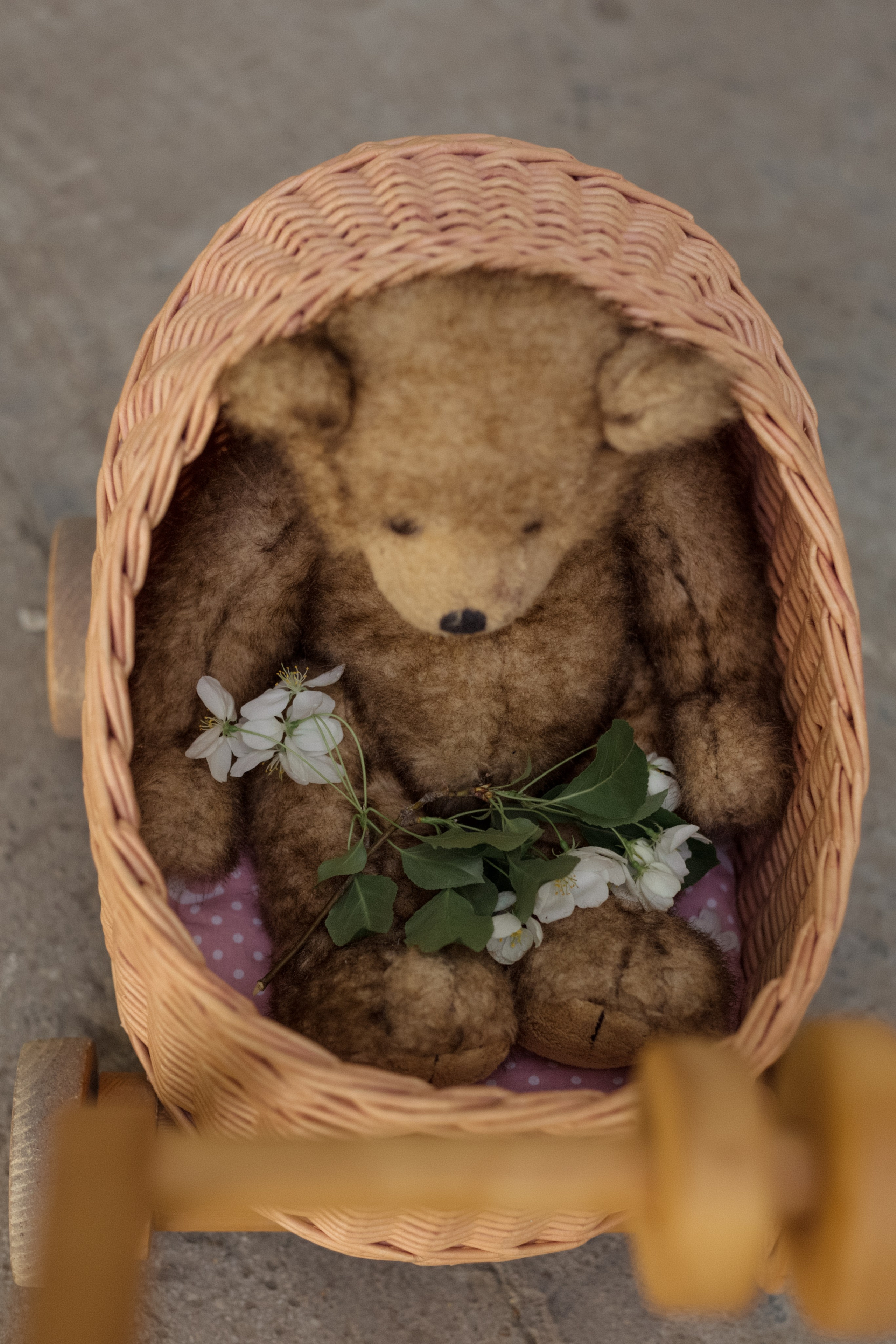 Алиса с мамой в цветении. Фотограф в Новосибирске Краснова Евгения