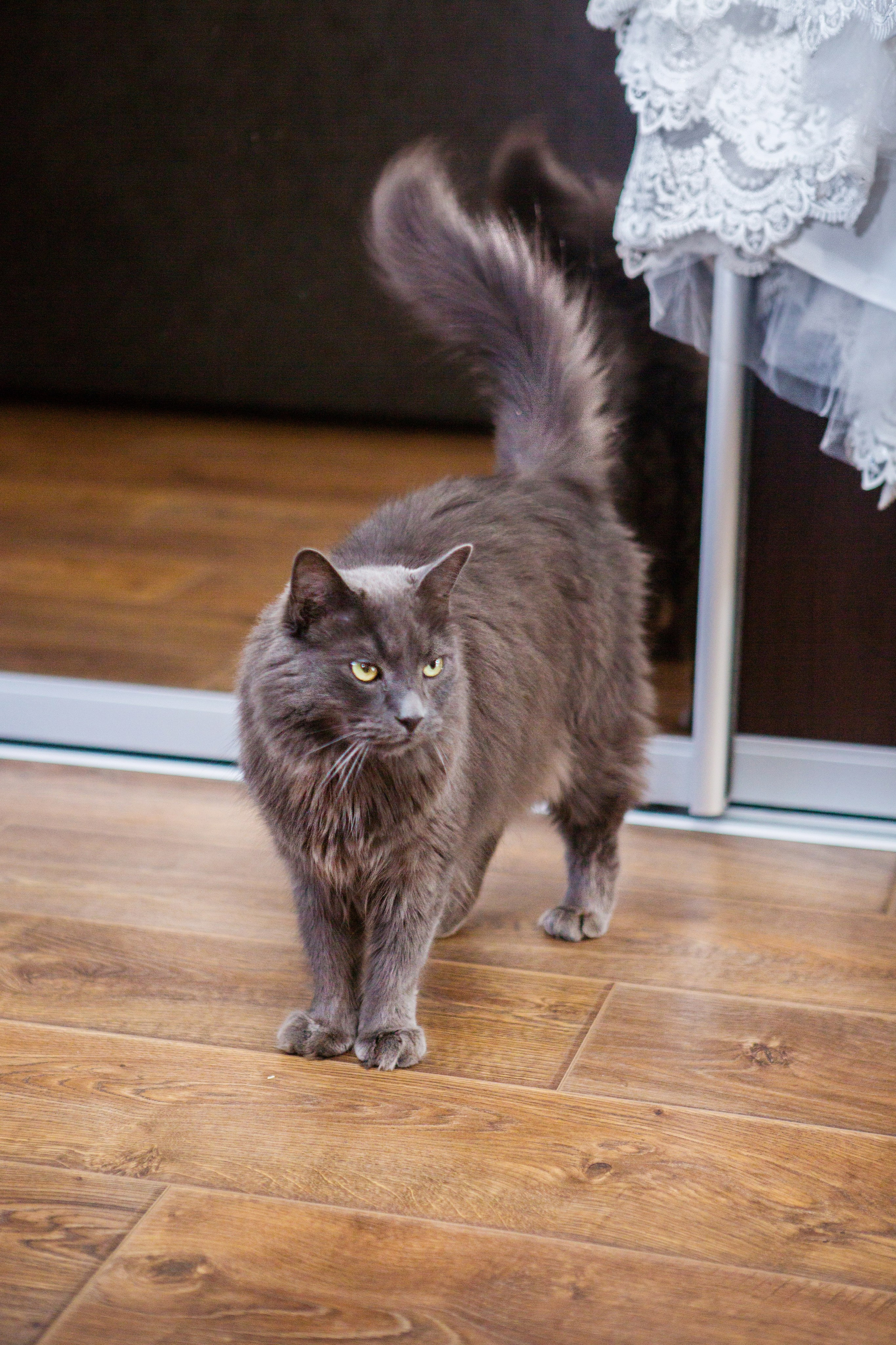 Валентина и Игорь. Свадебный семейный и детский фотограф в Краснодаре Карина Федоровская