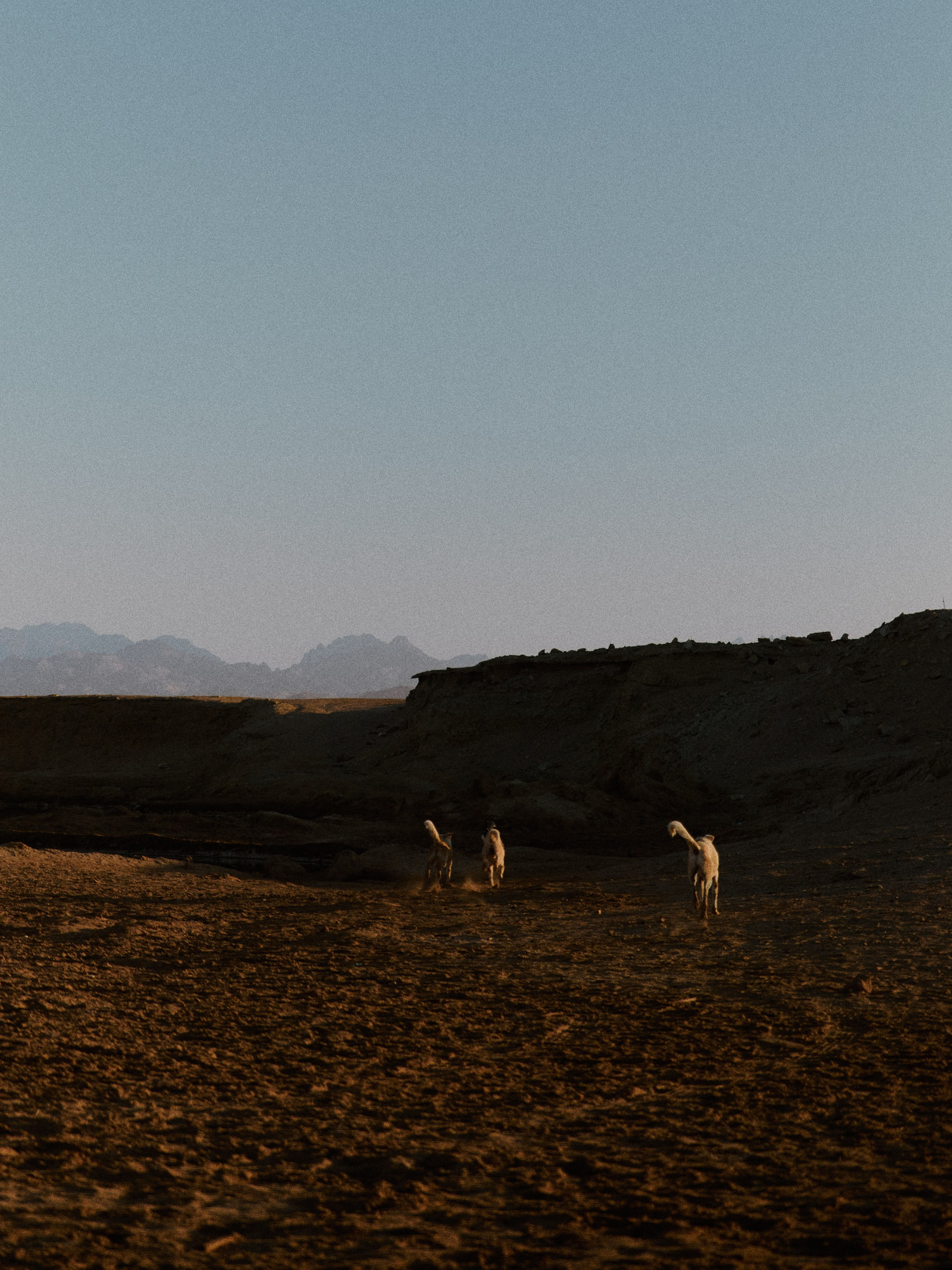 Природа. Jorgis Talè — photographer, kind person, teacher of arts and other mag